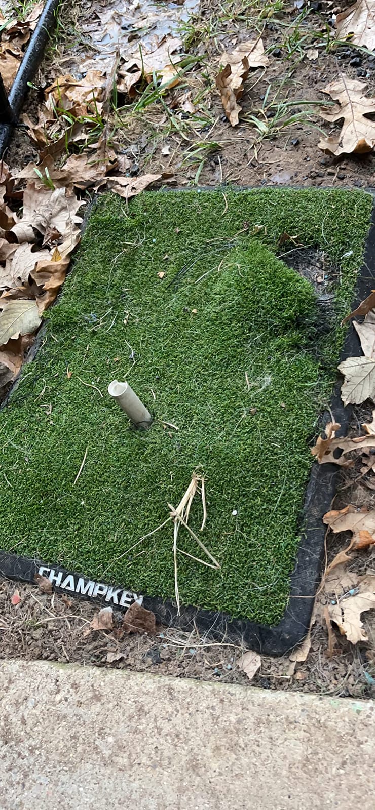 CHAMPKEY Premium Synthetic Turf Golf Hitting Mat | Heavy Duty Rubber Base Golf Practice Mat | Come with 1 Rubber Tee and 9 Plastic Tees customer photo 2