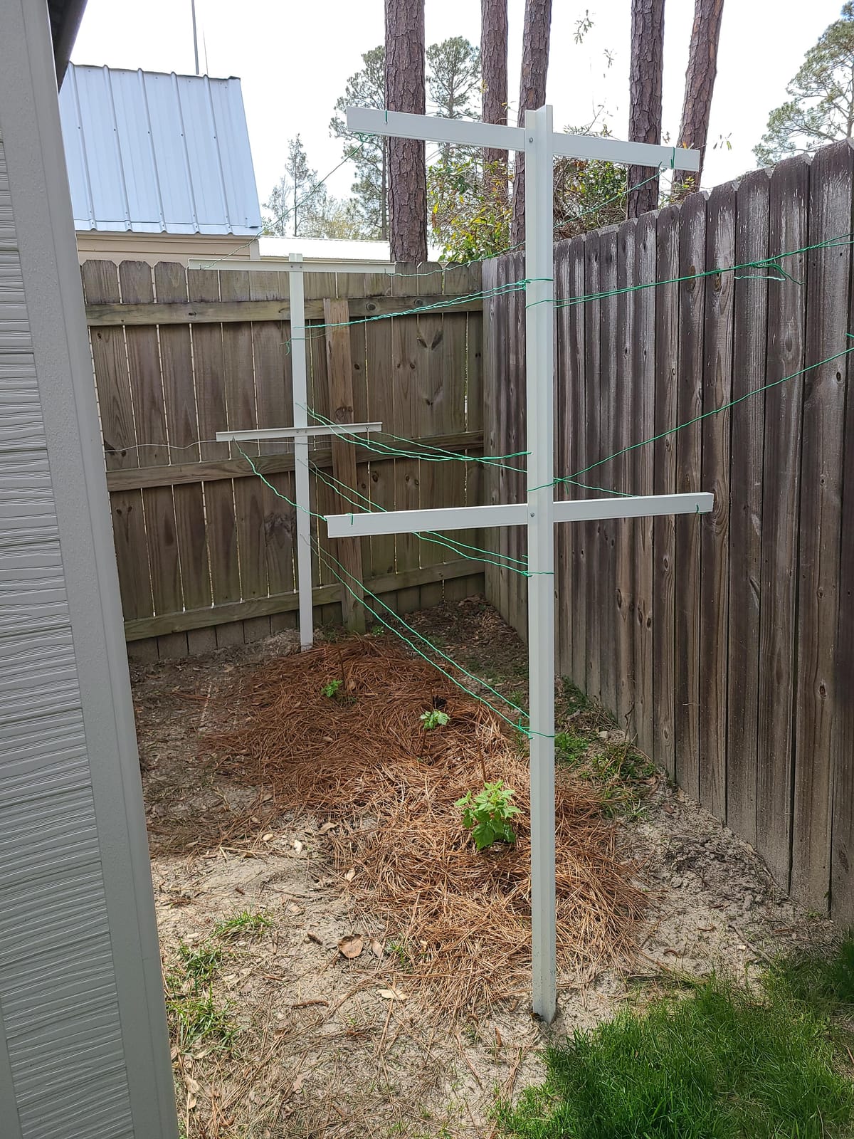 MRGARDEN 7-Feet Adjustable Garden Trellis Set for Raspberry and Climbing Plants, Outdoor Stake Vineyard Trellis, Pack of 4 customer photo 1