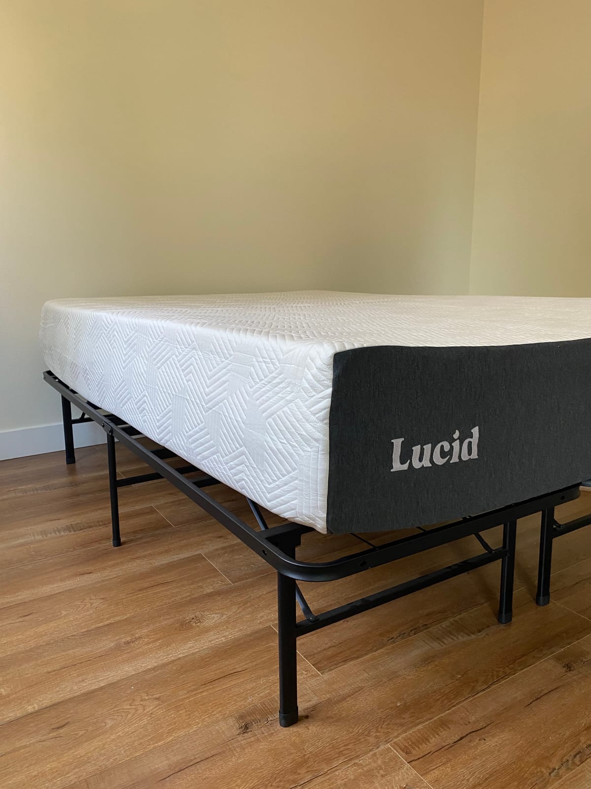 Lucid 12