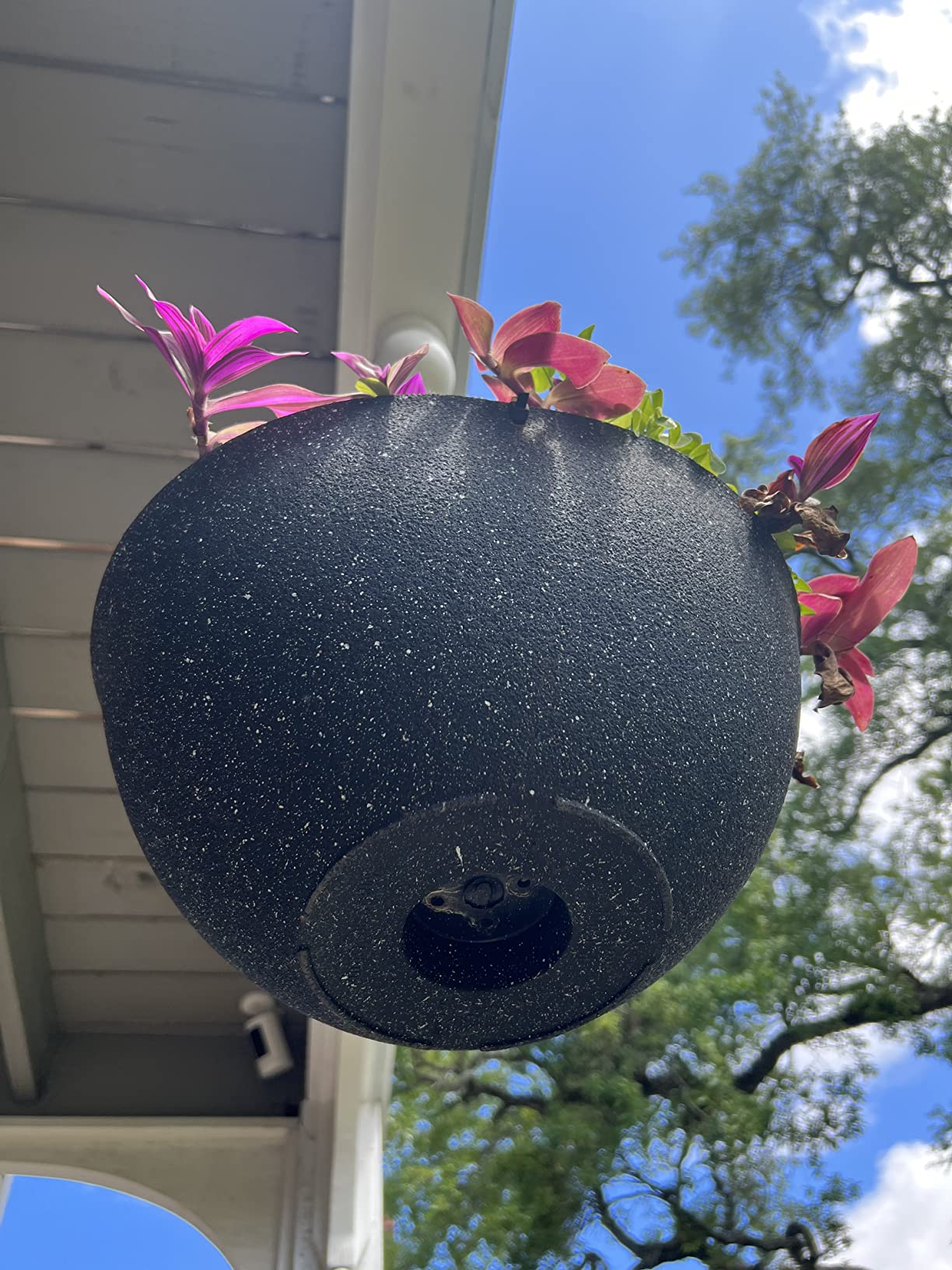 LA JOLIE MUSE Hanging Planter Baskets for Outdoor Plants, Set of 2, 13 Inch | Large Hanging Baskets with Drainage Holes, Marble Pattern Hanging Planters for Windows, Porches, Balconies, Gardens, Patios customer photo 2