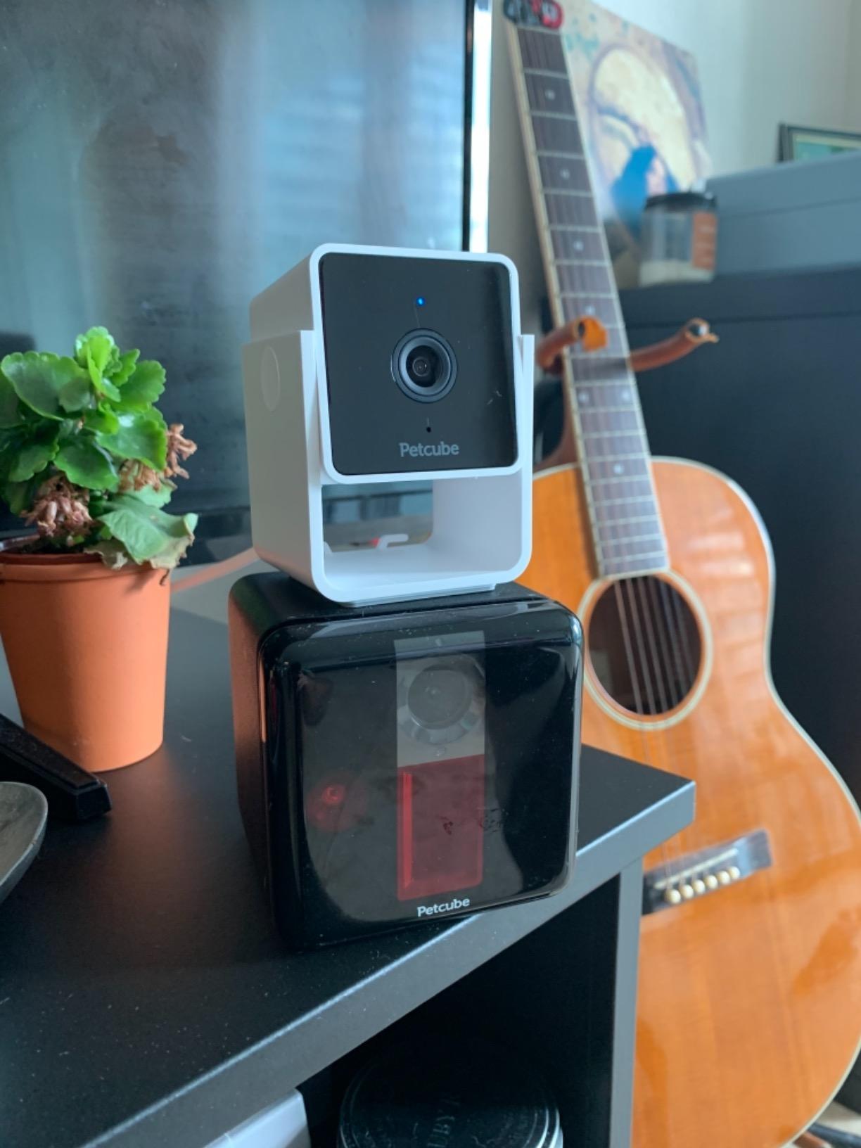 Petcube Cam - Indoor Wi-Fi Pet & Security Camera with App | 1080p HD video, 2-way audio, night vision, smart alerts for dog, cat & home security monitoring customer photo 1