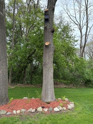 WHITEHORSE 4-Compartment Bat House - Premium Cedar Bat Box, MTBC Endorsed (Black) customer photo 2
