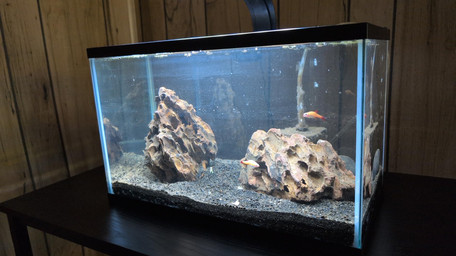 Tetra Glass Aquarium 55 Gallons, Rectangular Fish Tank (NV52018) | 48