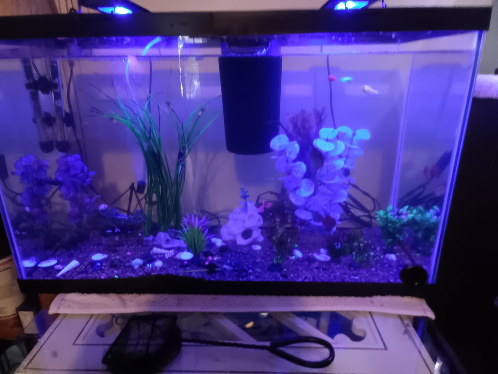 Tetra Glass Aquarium 55 Gallons, Rectangular Fish Tank (NV52018) | 48
