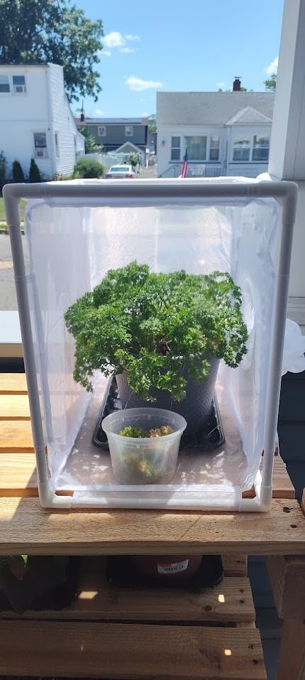 RESTCLOUD Monarch Butterfly Habitat Cage, Outdoor Insect Mesh Cage Terrarium 16