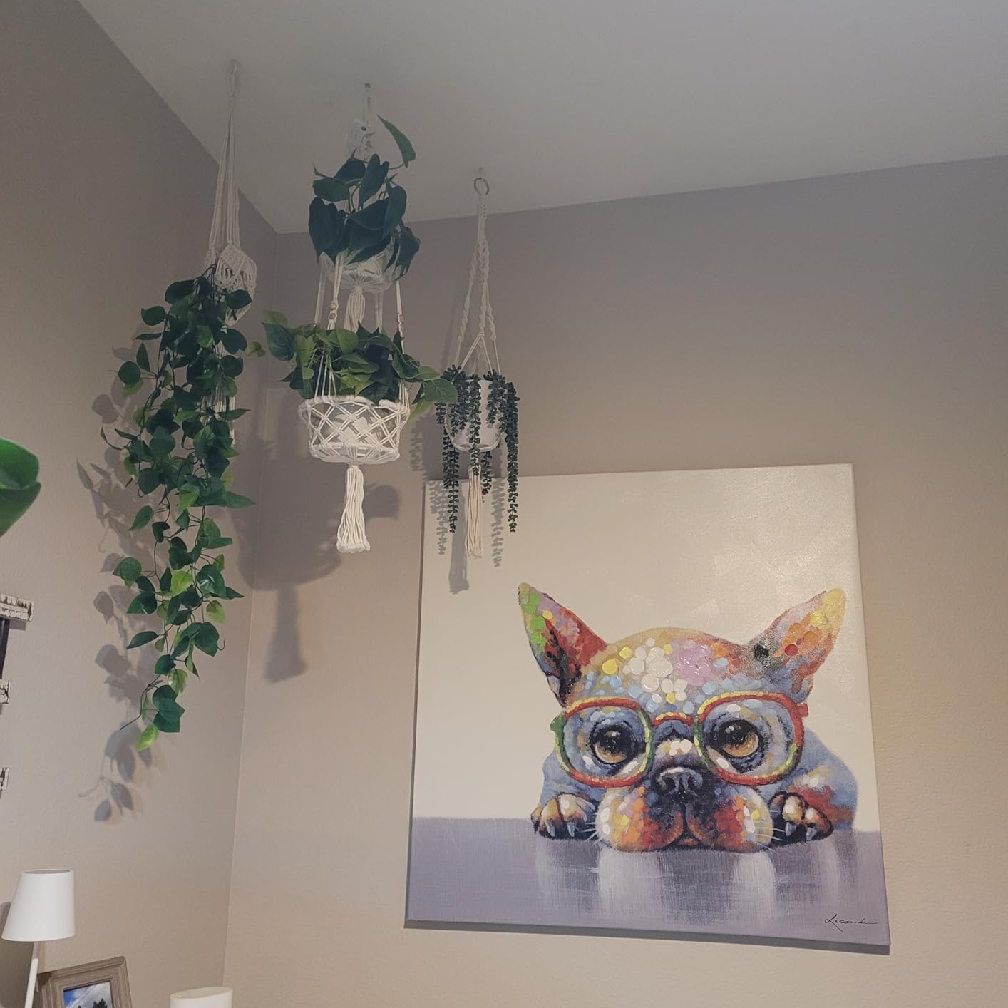 6-Pack Macrame Plant Hangers with 12 Hooks - Hanging Planters for Indoor Plants, Boho Macrame Hangers Indoor Outdoor, Decorative Plant Hanger Indoor (Cream) customer photo 2