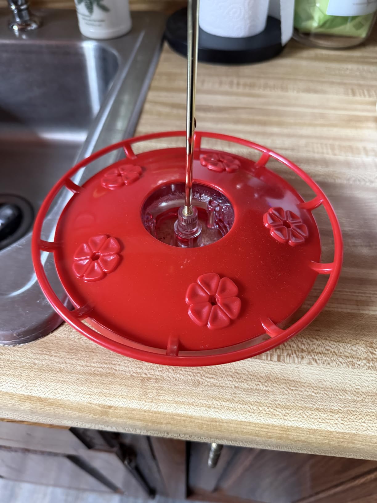 2 Pack 16 oz Saucer Hummingbird Feeders for Outdoors, Garden Decor | Built-in Ant Moat, 5 Bee Proof Feeding Ports, BPA Free Plastic, Easy Clean, Leak-Proof Dish-Style customer photo 2
