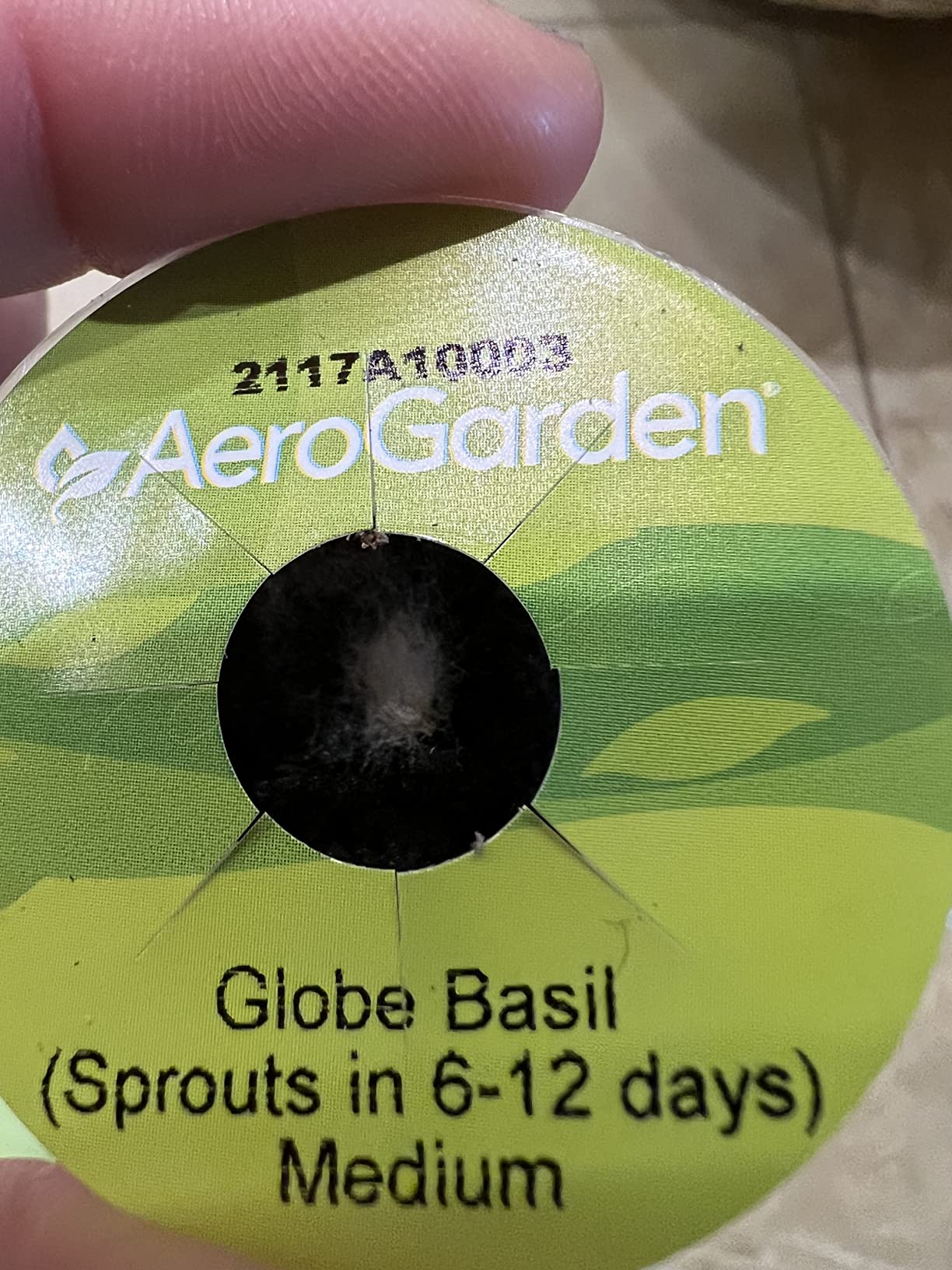 AeroGarden Sprout, Black | Indoor Garden with LED Grow Light customer photo 1