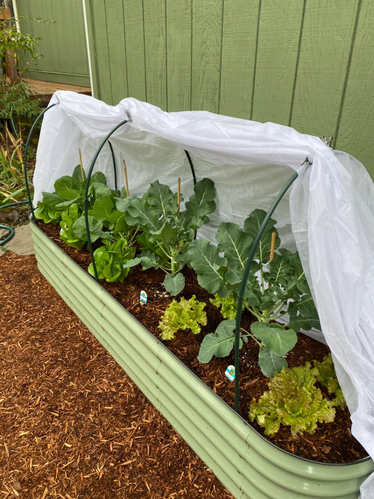 Plant Covers Freeze Protection, 10ft x 30ft 1.0oz/yd² Reusable Floating Row Cover, Frost Cloth for Outdoor Plants, Breathable Frost Blanket for Winter Cold Weather & Pest Protection customer photo 1