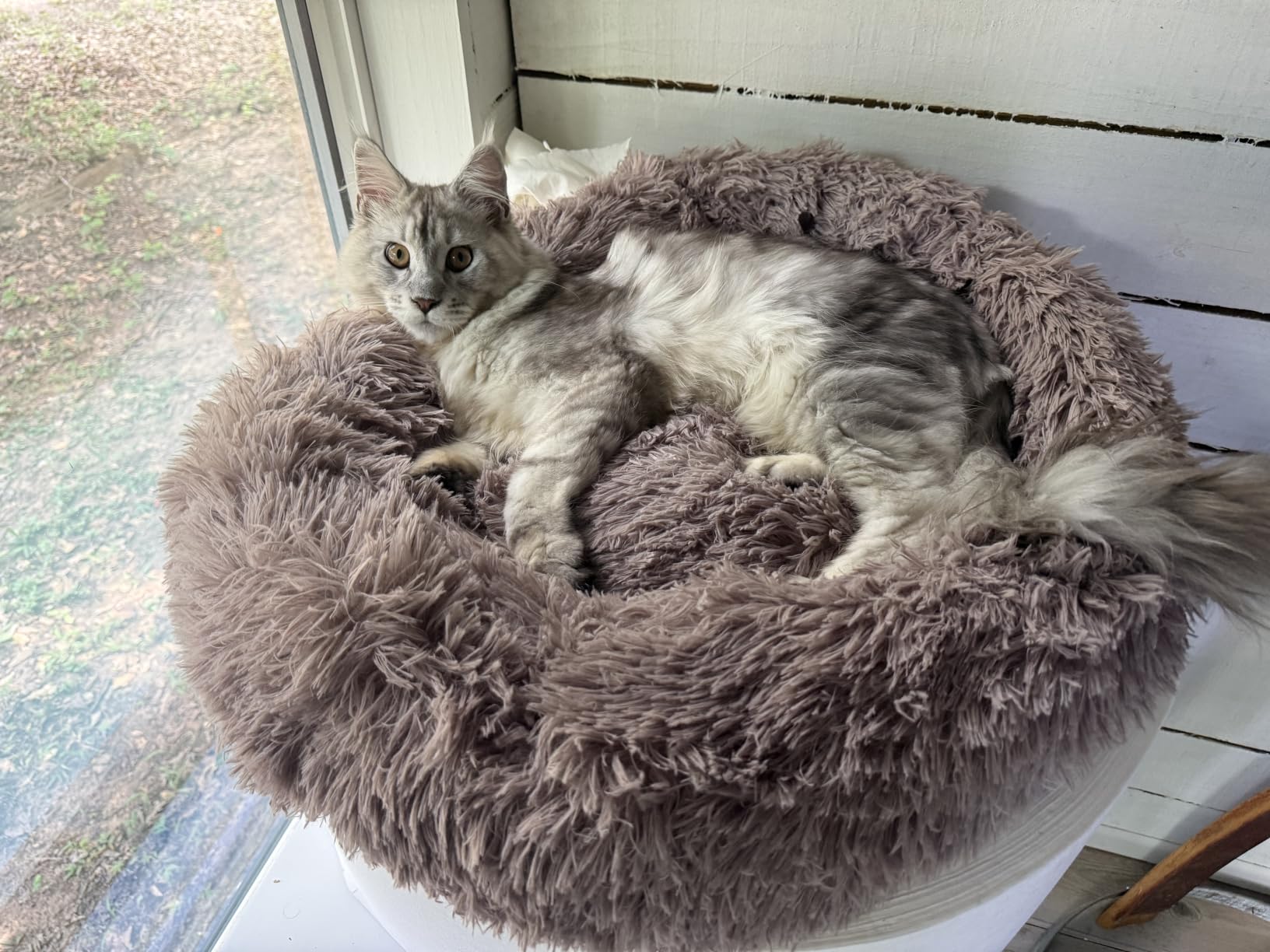 Western Home Calming Soft Round Dog & Cat Bed Small Dog Bed Washable, 20