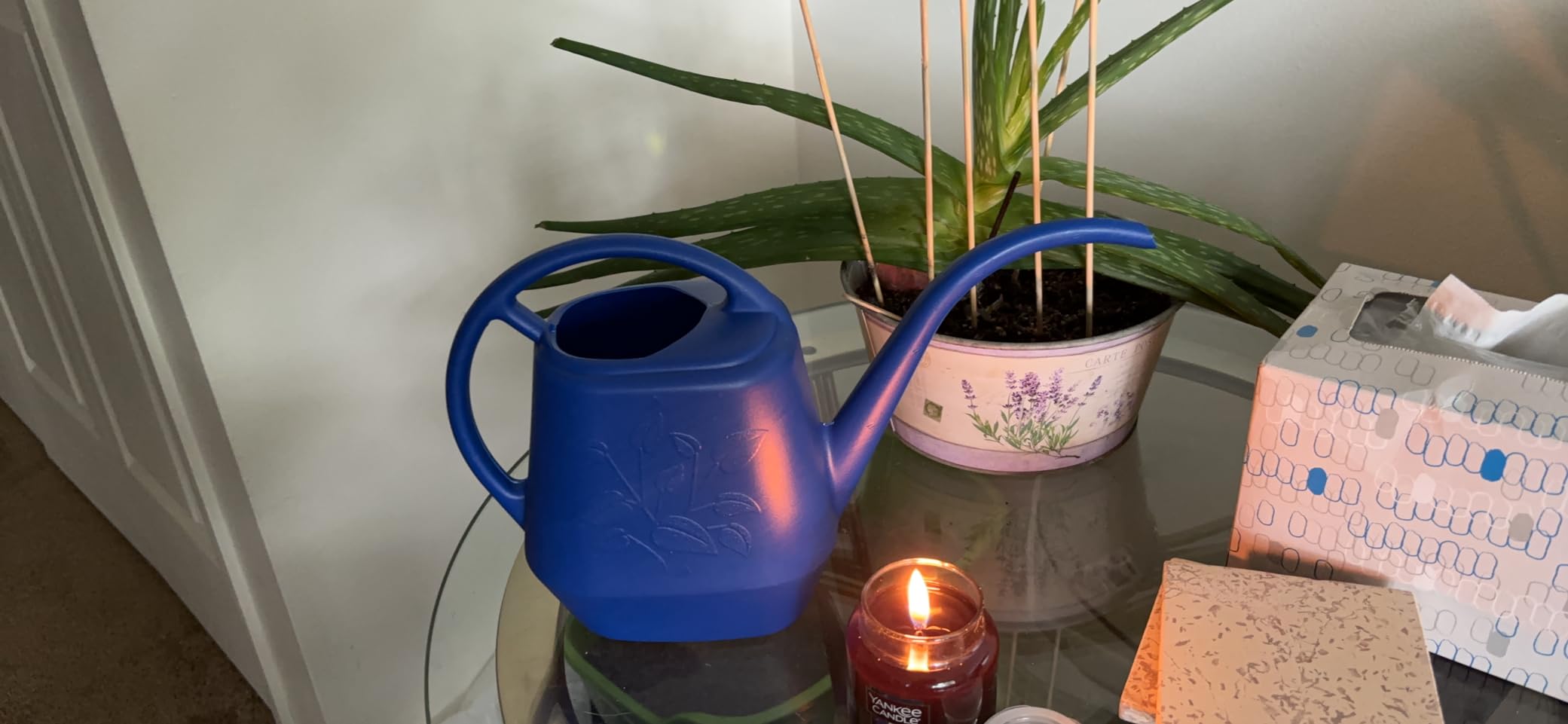 Bloem Aqua Rite Watering Can: 56 Oz, Extra Long Spout, Durable Plastic for Indoor & Outdoor Use customer photo 2