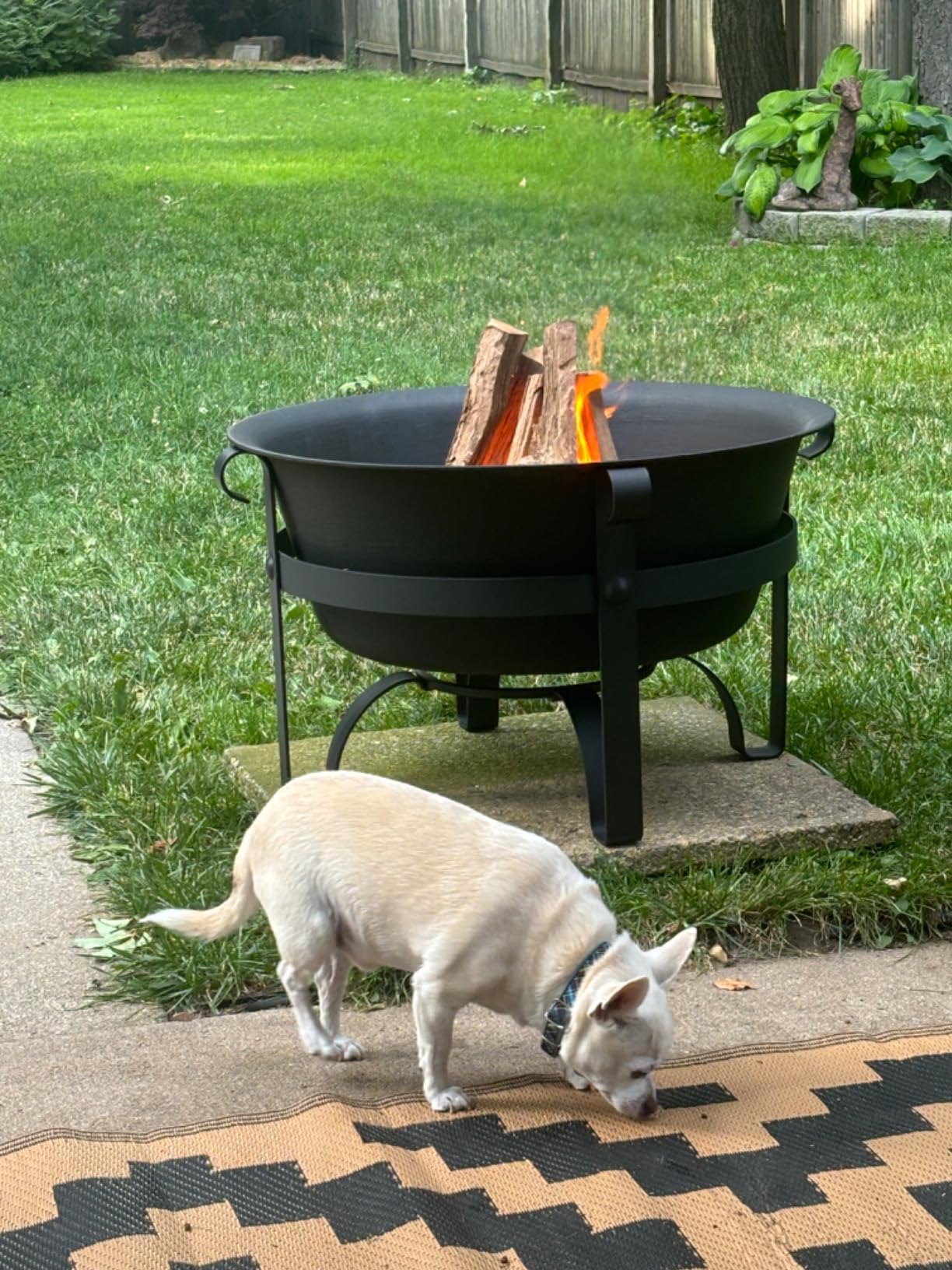 Cast Iron Fire Pits, 29inch, Round, Deep, with Mesh Screen & Poker | Heavy Duty Outside Large Wood Burning FirePit Bowl Black for Backyard, Patio, Camping, Outside customer photo 1