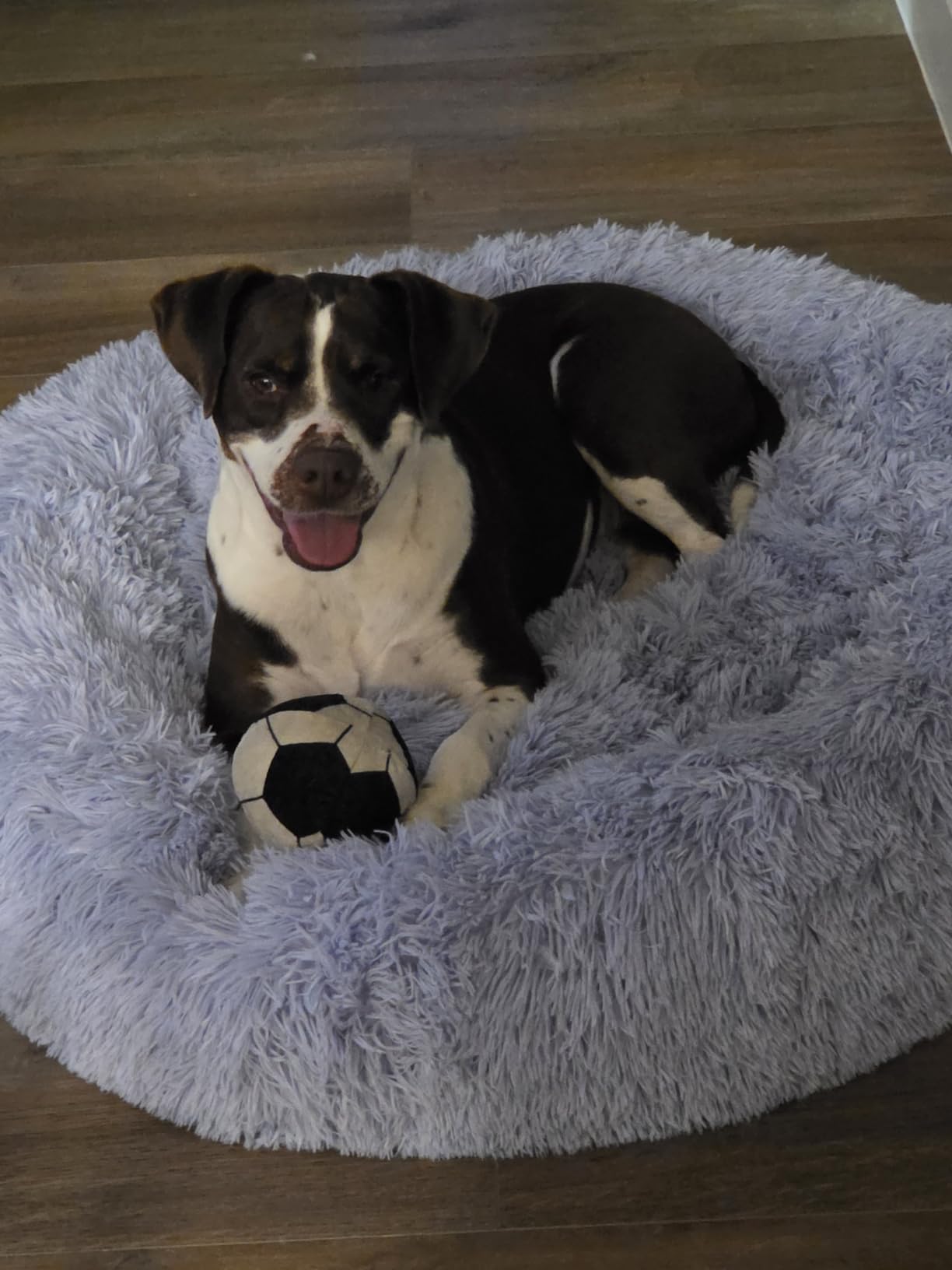 Best Friends by Sheri The Original Calming Donut Dog Bed for Extra-Large Dogs up to 150 lbs, Lux Faux Fur, Dark Brown, 45