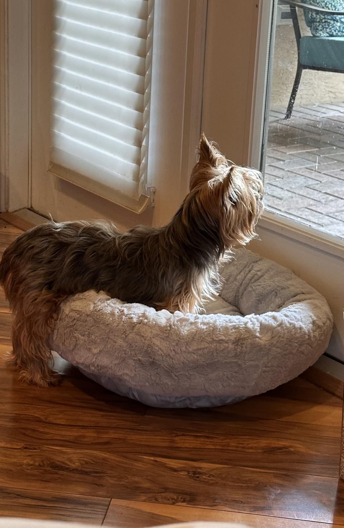Best Friends by Sheri The Original Calming Donut Dog Bed for Extra-Large Dogs up to 150 lbs, Lux Faux Fur, Dark Brown, 45
