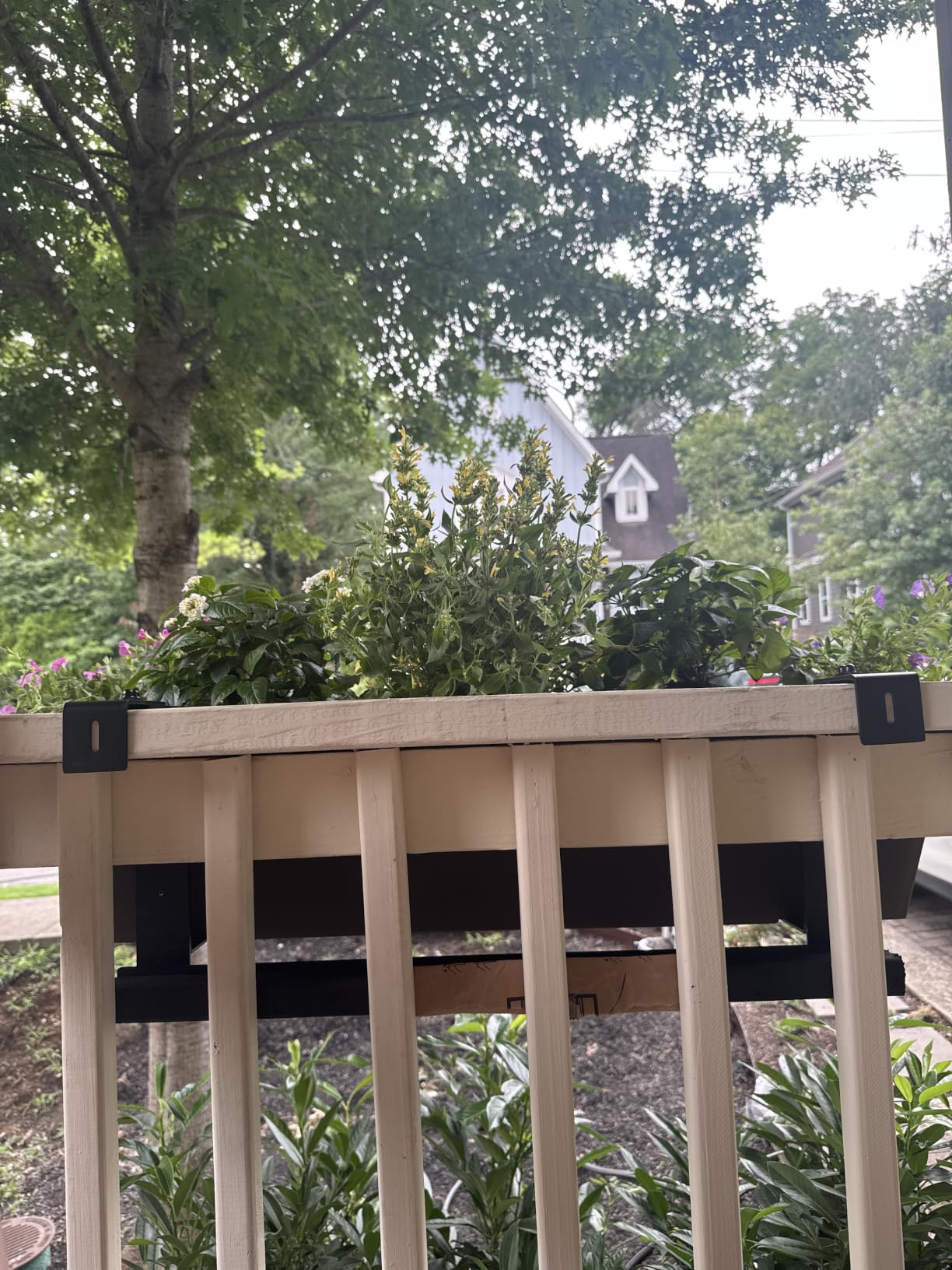 Veradek Pure Series Railing Planter - Tapered Window Box with Bracket | Made From Durable Plastic With Adjustable Metal Railing Bracket. Modern Railing/Fence Décor for Plants and Flowers customer photo 1