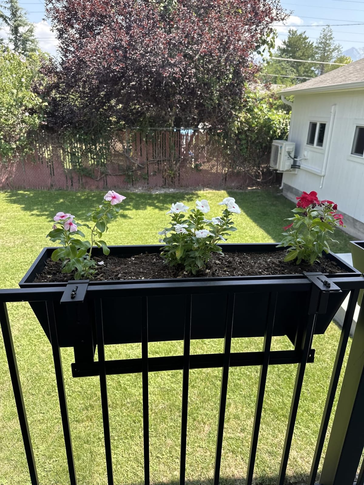 Veradek Pure Series Railing Planter - Tapered Window Box with Bracket | Made From Durable Plastic With Adjustable Metal Railing Bracket. Modern Railing/Fence Décor for Plants and Flowers customer photo 2