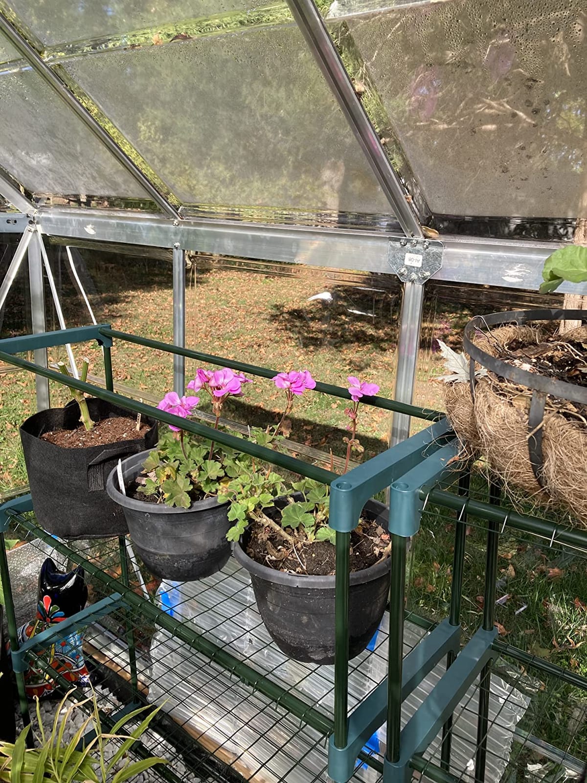 EAGLE PEAK Greenhouse Shelving Staging Double 4 Tier, Outdoor/Indoor Plant Shelves, 35
