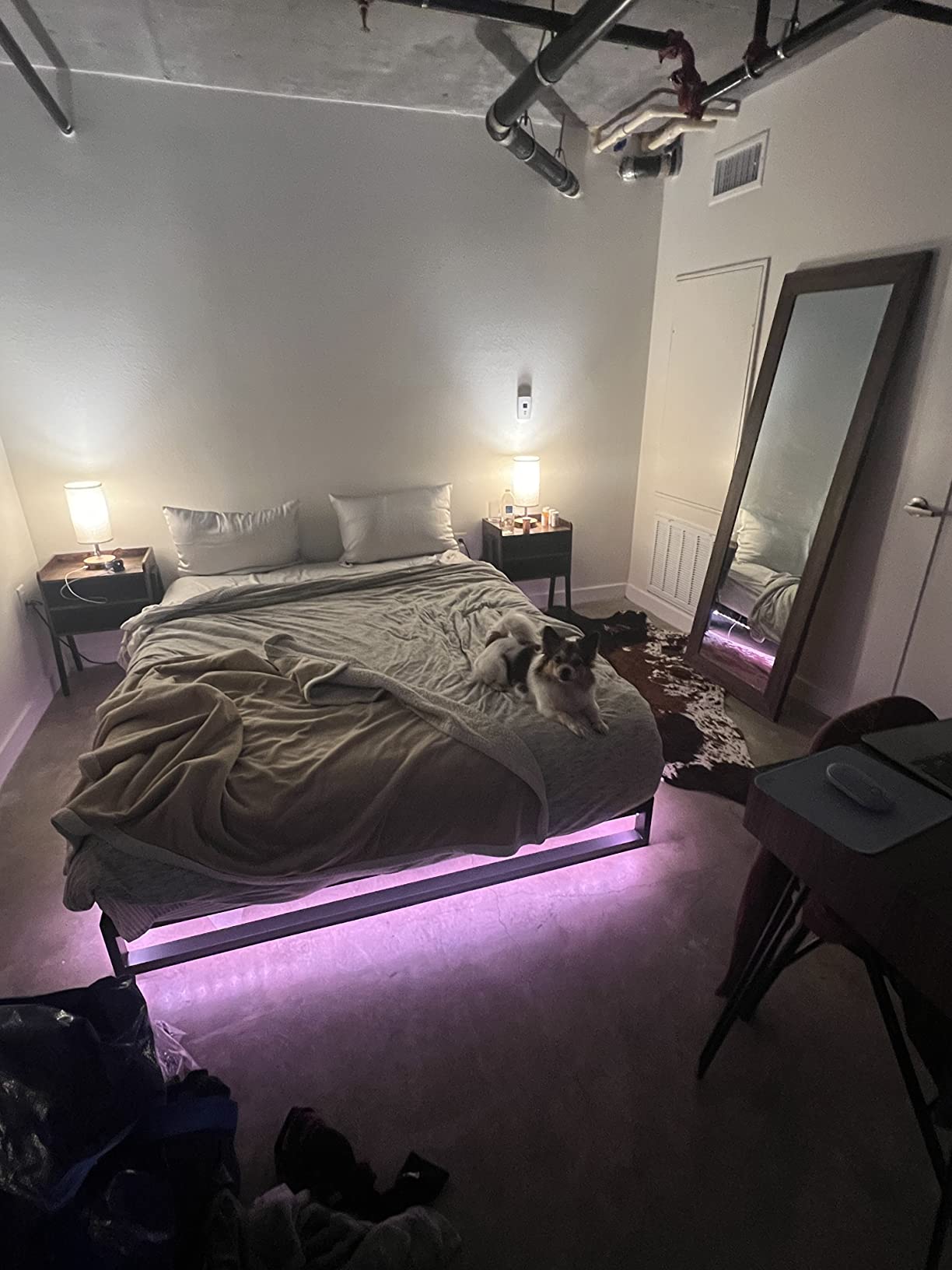Govee 65.6ft RGBIC LED Strip Lights, Work with Alexa and Google Assistant | APP WIFI Control, DIY Segmented Color, 64 Scene Modes, 16 Million Colors, Music Sync, LED Lights for Bedroom (2 X 32.8ft) customer photo 1