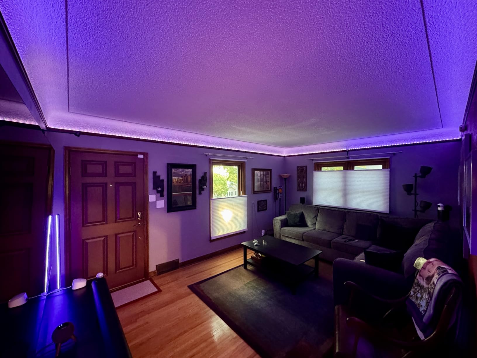 Govee 65.6ft RGBIC LED Strip Lights, Work with Alexa and Google Assistant | APP WIFI Control, DIY Segmented Color, 64 Scene Modes, 16 Million Colors, Music Sync, LED Lights for Bedroom (2 X 32.8ft) customer photo 2