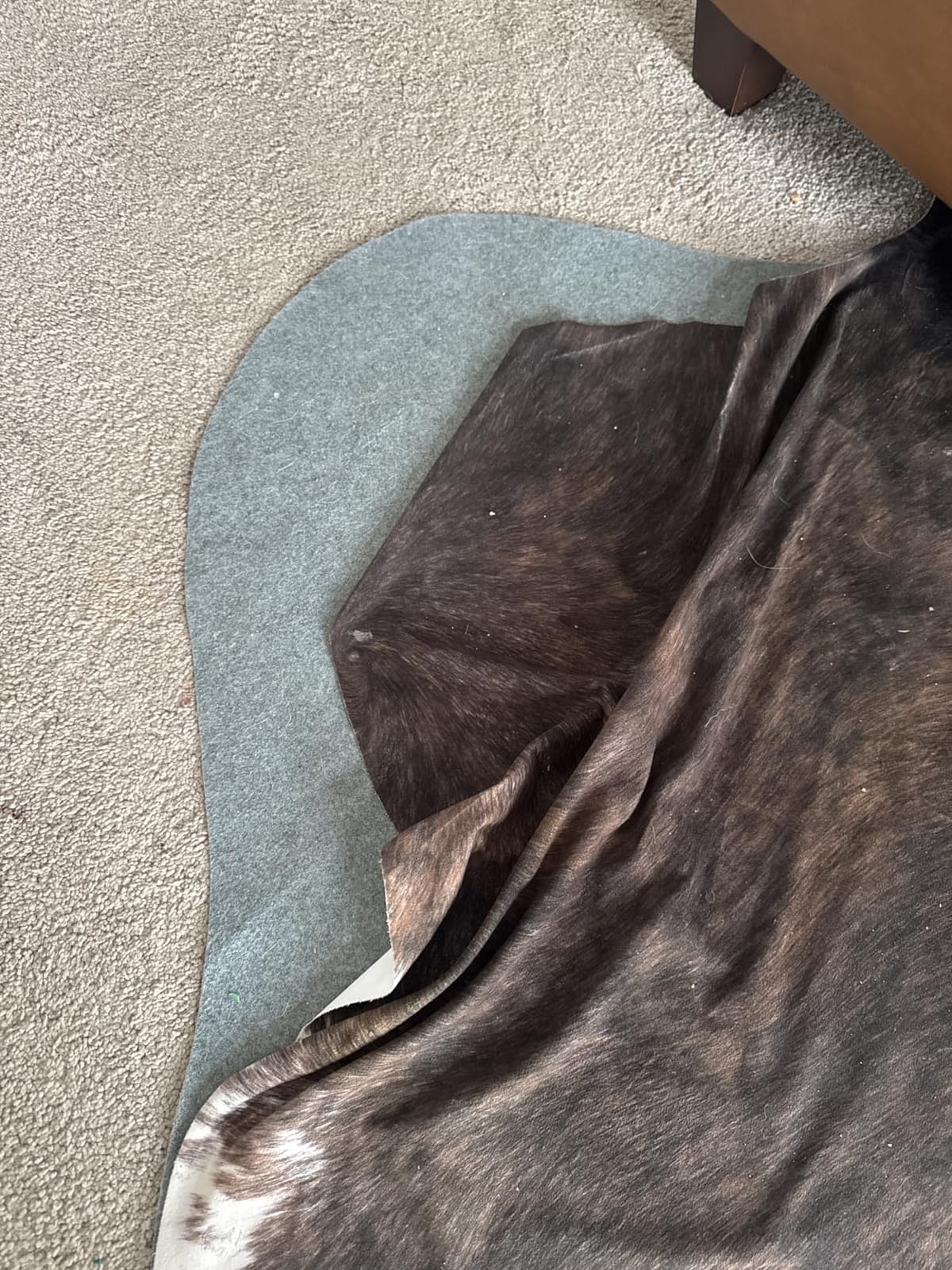 BENRON Faux Cowhide Rug, Cow Print Rug for Living Room Bedroom 4.6x5.2ft | Western cow hide rug for Cowboy Cowgirl Home Decor, Washable Rugs with Irregular Animal Skins and Hides Non Slip, Khaki Brown customer photo 2