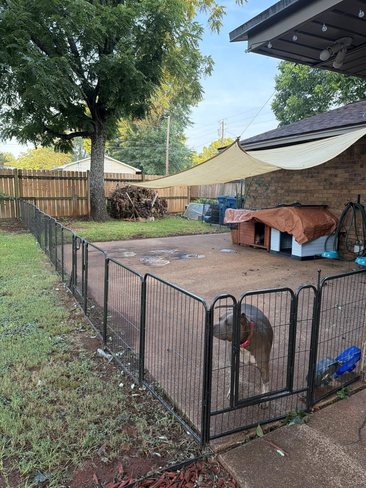 Dog Playpen, 32/40/45 Inch Height in Heavy Duty, Folding Indoor Outdoor Anti-Rust Dog Exercise Fence, Portable Pet Playpen with Door for Large Medium Small Dogs and Pet (16 Panels, 32 Inch) Silver customer photo 2