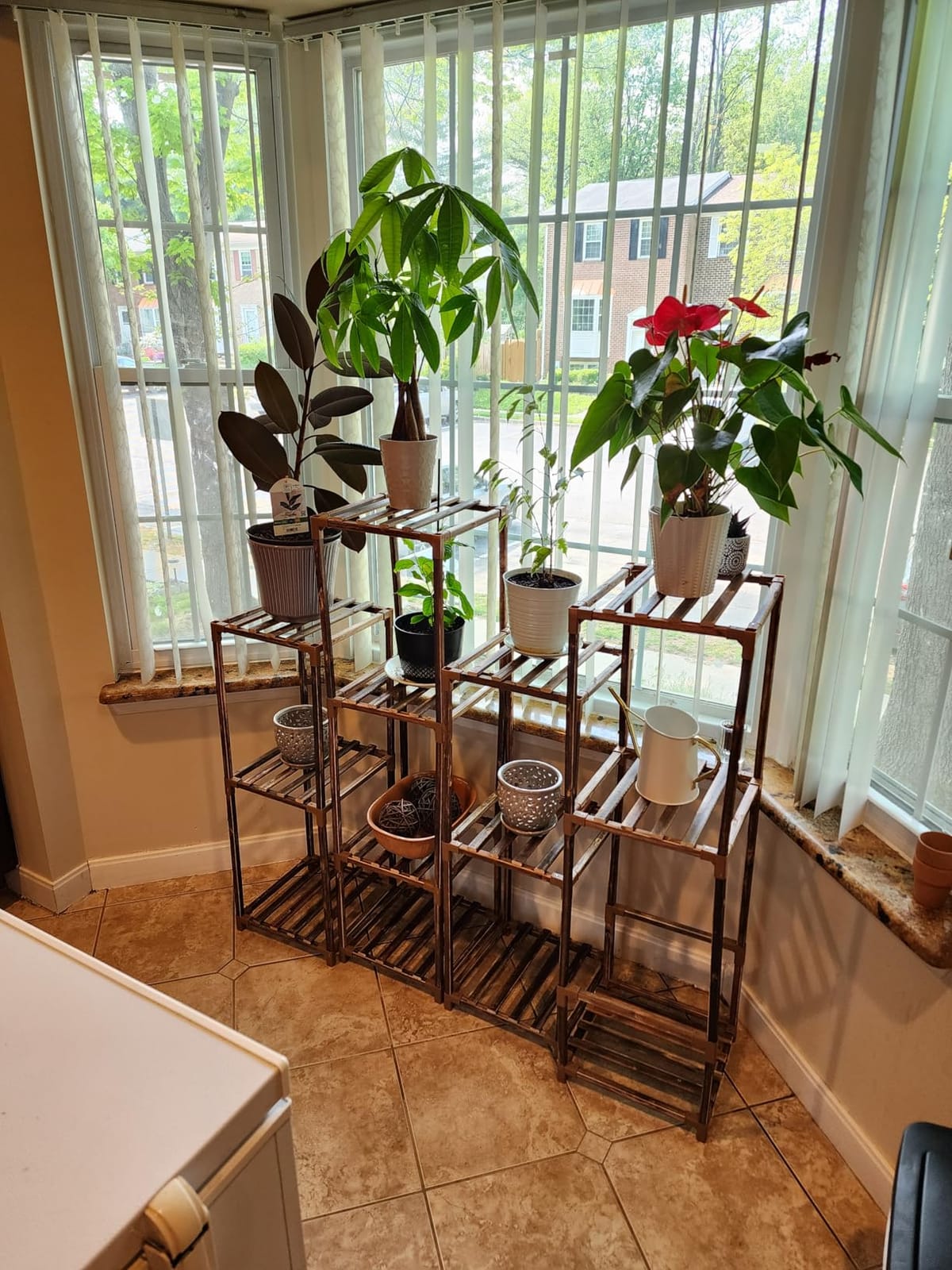 Bamworld Plant Stands Indoor 4 Sets Plant Shelves Outdoor Wooden Plant Holder for Multiple Plants Flower Stands for Living Room Balcony Garden Patio Lawn Window customer photo 2