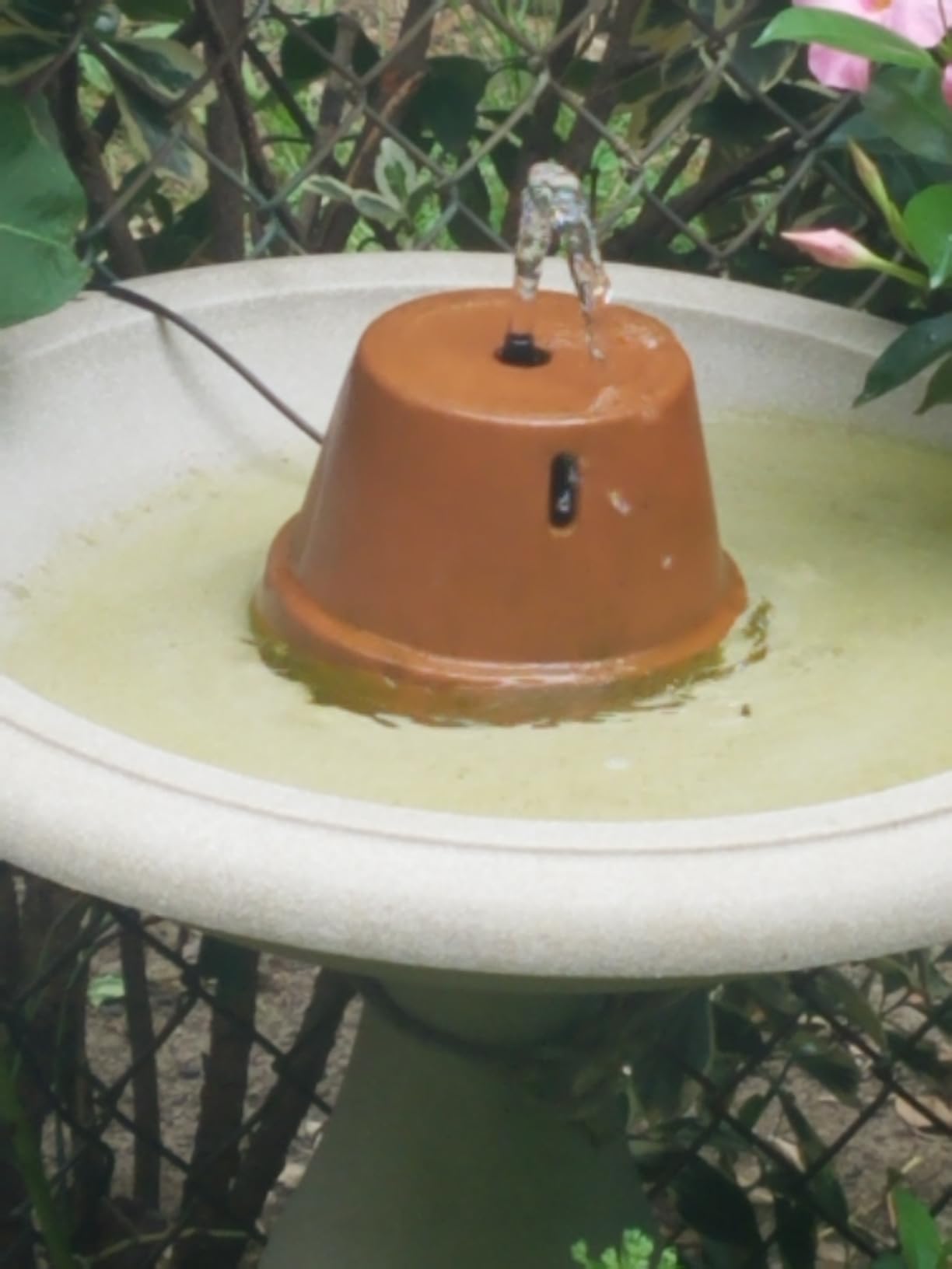 Jutai 24-Hours Working Bird Bath Fountains Electric, Adjustable Quiet Water Fountain Pump with LED Lights for Garden, Small Fish Tank, Pond, Water Features - 7 Nozzles, 16.4Ft Power Cord customer photo 1