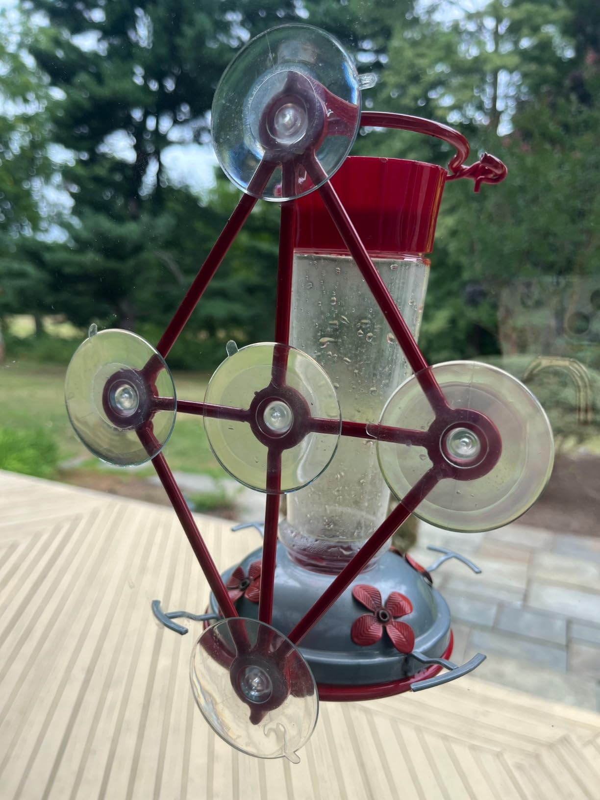 Hummingbird Feeders for Outdoors - 10 oz [Set of 2] Built-in Ant Moat | Shatterproof clear and red plastic design featuring 5 yellow flower ports. Includes hanging hooks for garden and patio setup. customer photo 1