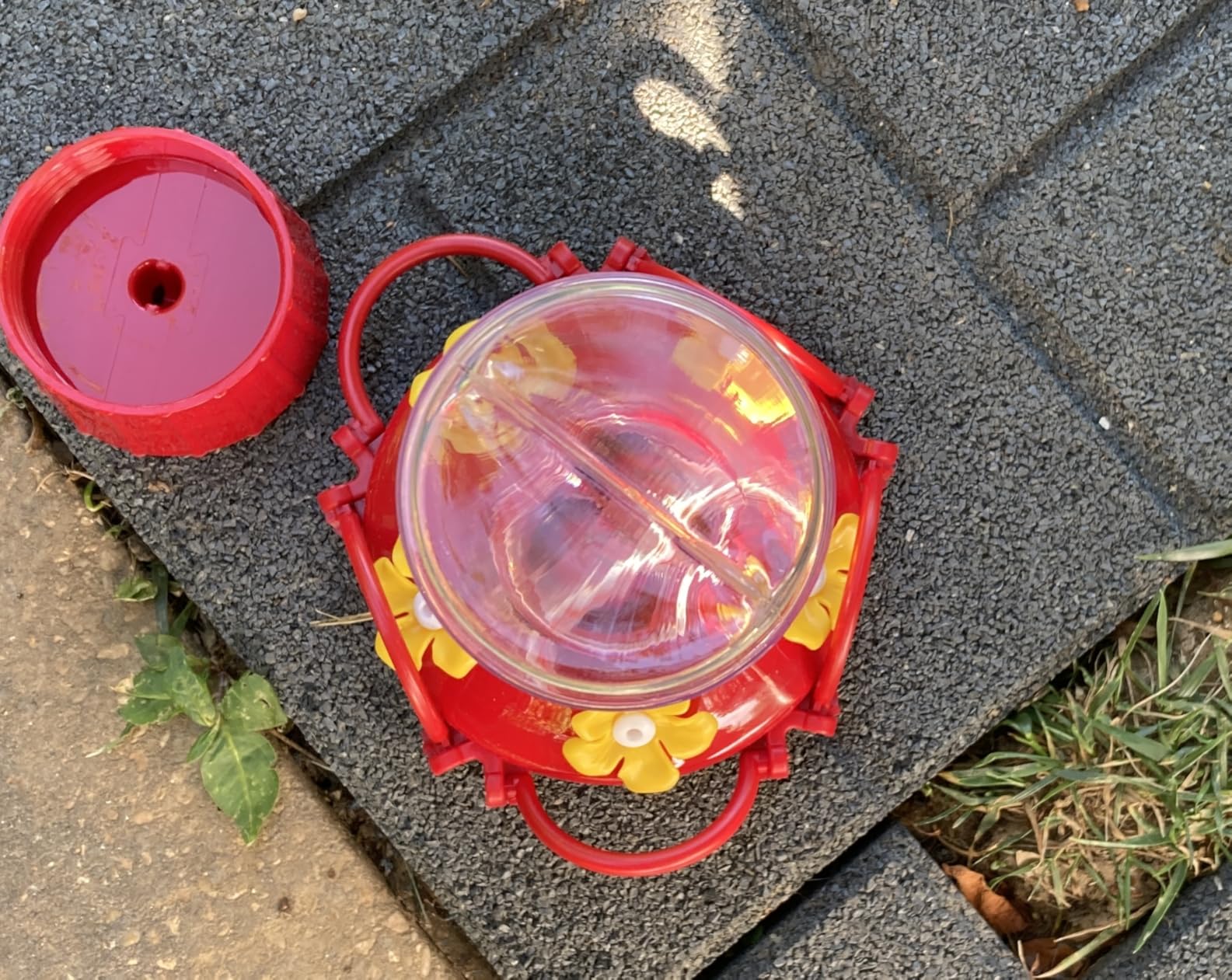 Hummingbird Feeders for Outdoors - 10 oz [Set of 2] Built-in Ant Moat | Shatterproof clear and red plastic design featuring 5 yellow flower ports. Includes hanging hooks for garden and patio setup. customer photo 2