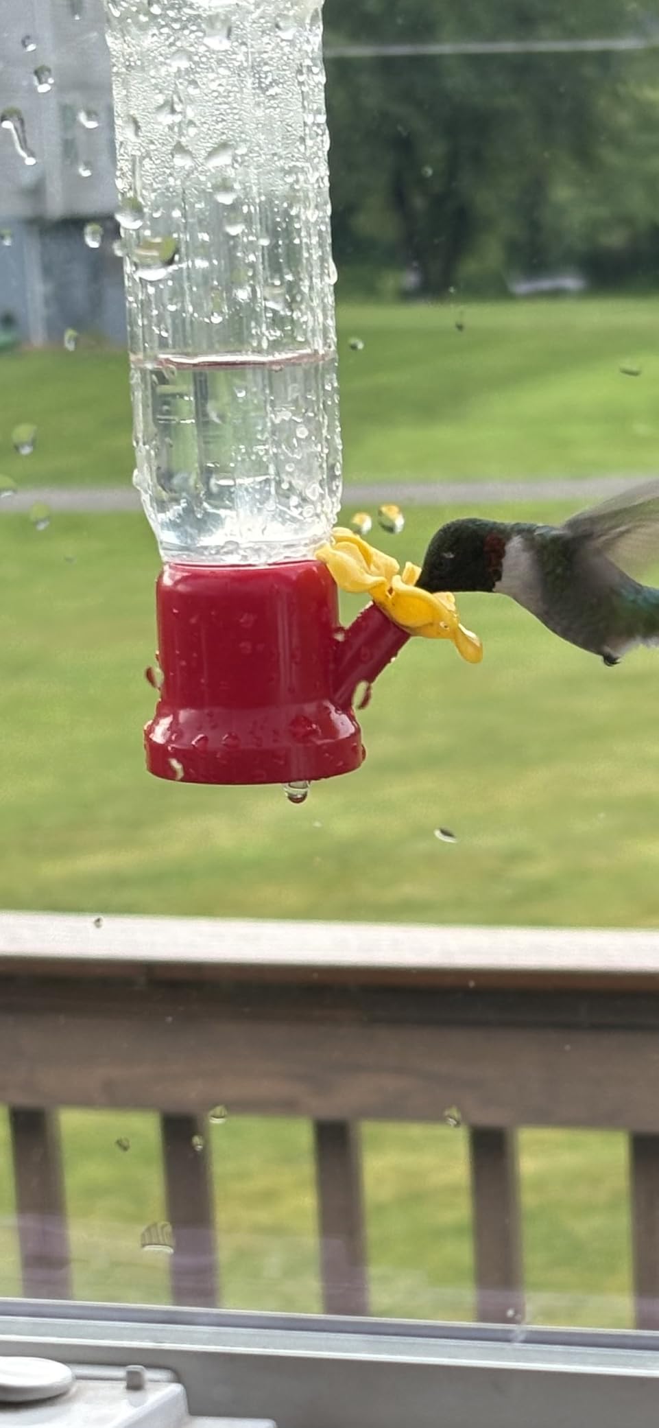 JOIEDOMI Set of 6 Mini Hummingbird Feeders with Hanging Wires, Transparent Outdoor Humming Bird Feeder Set with 3 Cleaning Brush for Patio, Outside, Lawn, Backyard, Garden, Easy to Clean customer photo 2