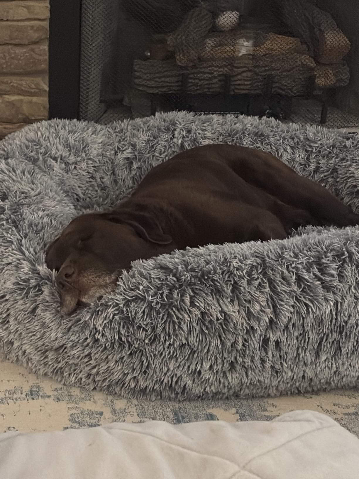 Bedfolks Calming Fluffy Donut Dog Bed for Large Dogs, Dark Grey, 36