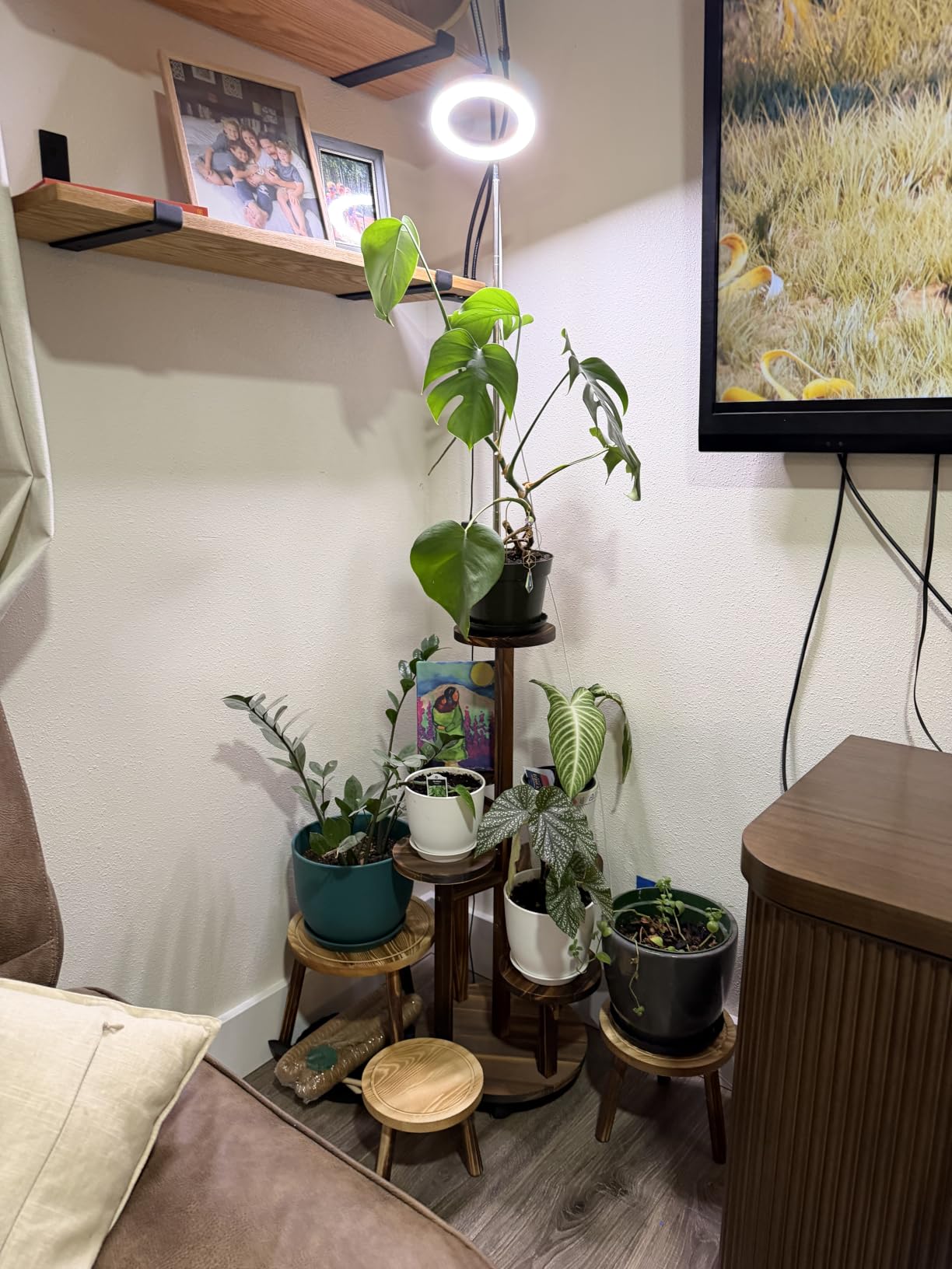 GEEBOBO 5 Tiered Tall Plant Stand for Indoor, Wood Plant Shelf Corner Display Rack, Multi-tier Planter Pot Holder Flower Stand for Living Room Balcony Garden Patio (Brown) customer photo 2