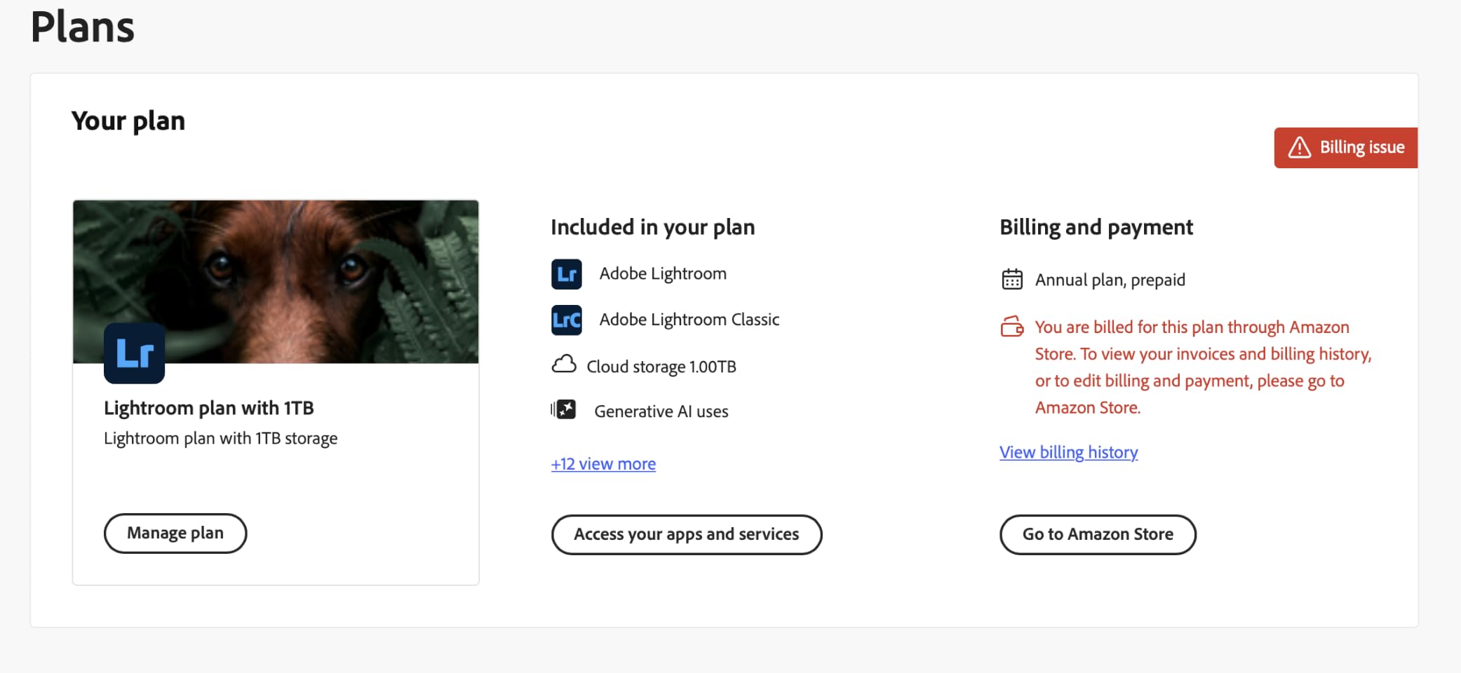 Adobe Lightroom 1TB | AI-assisted photo editor | 12-Month Subscription with auto-renewal | PC/Mac | Digital Download customer photo 2