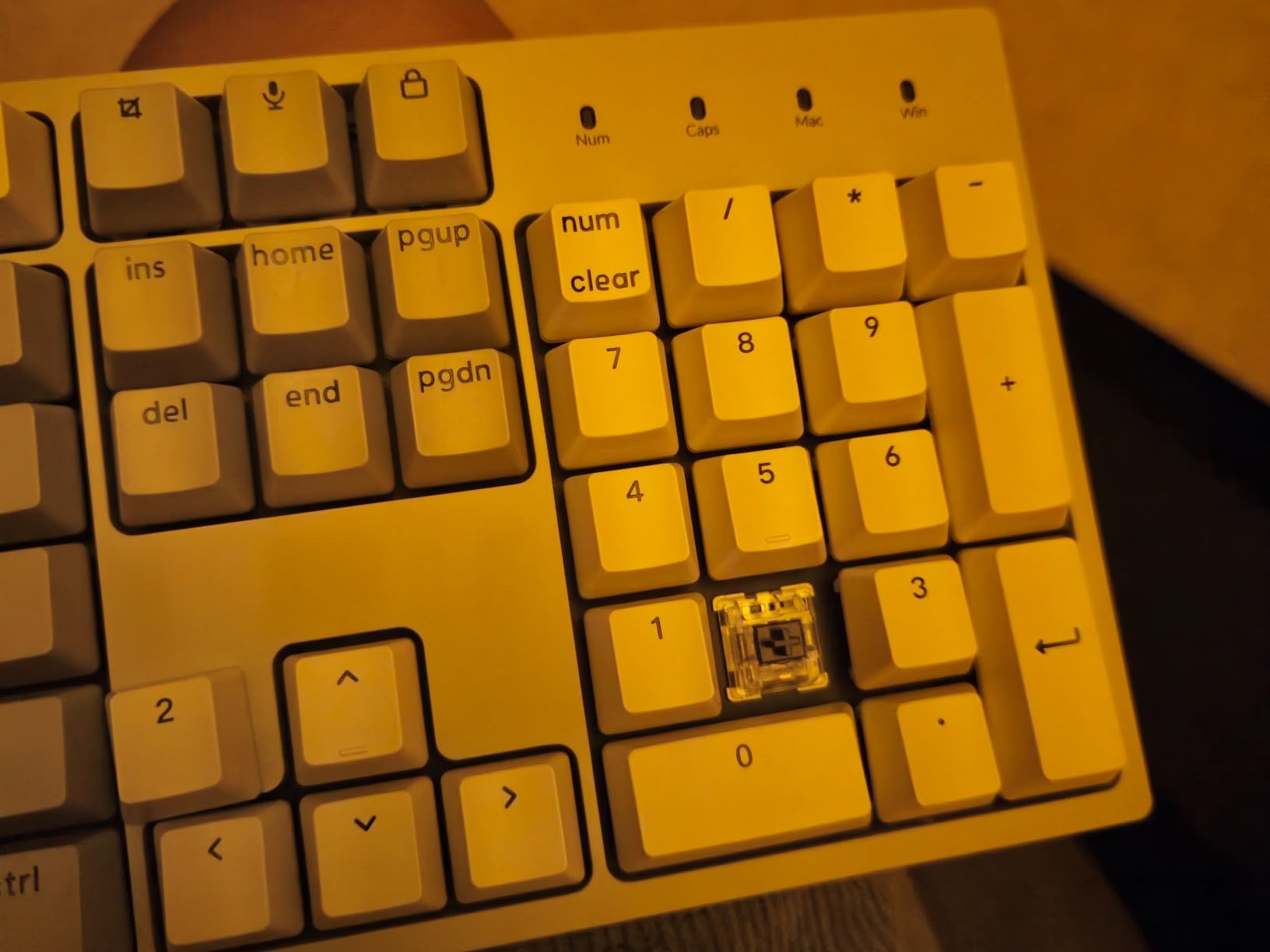 Keychron C2 Full Size Wired Mechanical Keyboard, Brown Switch, Retro | ABS keycaps, USB-C connection, Ergonomic support, Non-backlit design, Compatible with Mac Windows customer photo 2