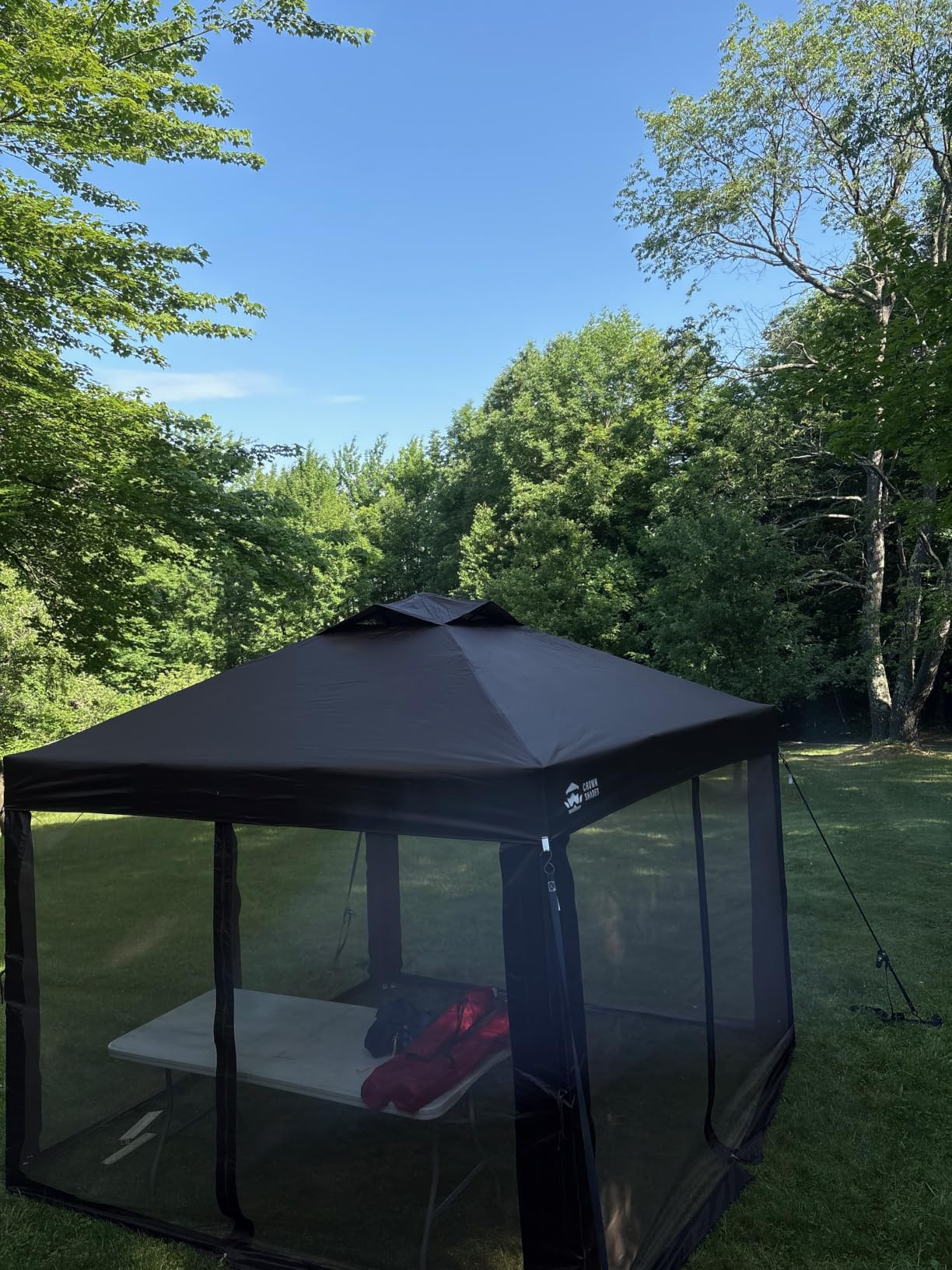 CROWN SHADES Gazebo 10x10 Pop Up Canopy with Mosquito Netting, Screen Tent with 4 Ropes, 8 Stakes, 4 Sandbags and Wheeled Storage Bag, Canopy for Patio & Backyard Parties,Camping&Events -(Coffee) customer photo 1