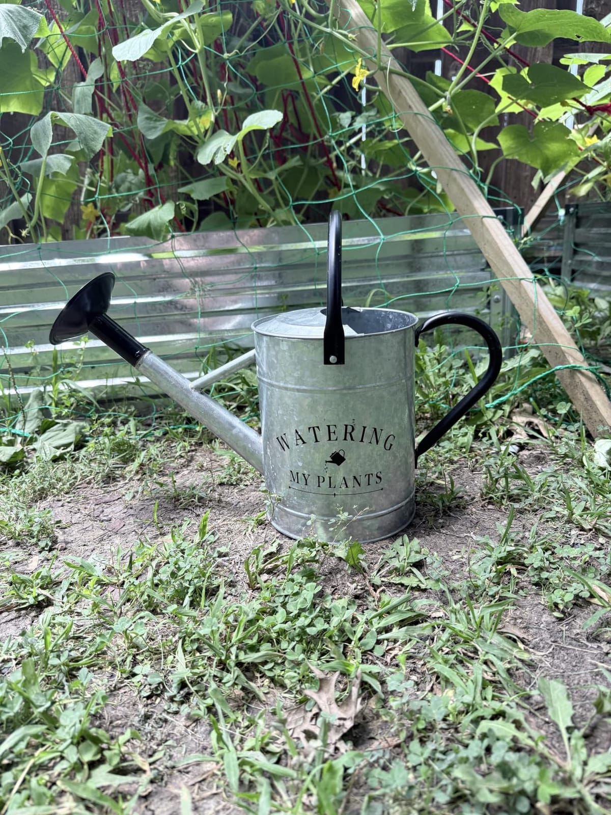 Garutom Galvanized Watering Can for Outdoor Indoor Plants, 1 Gallon Decorative Metal Water Can with Removable Spout customer photo 2