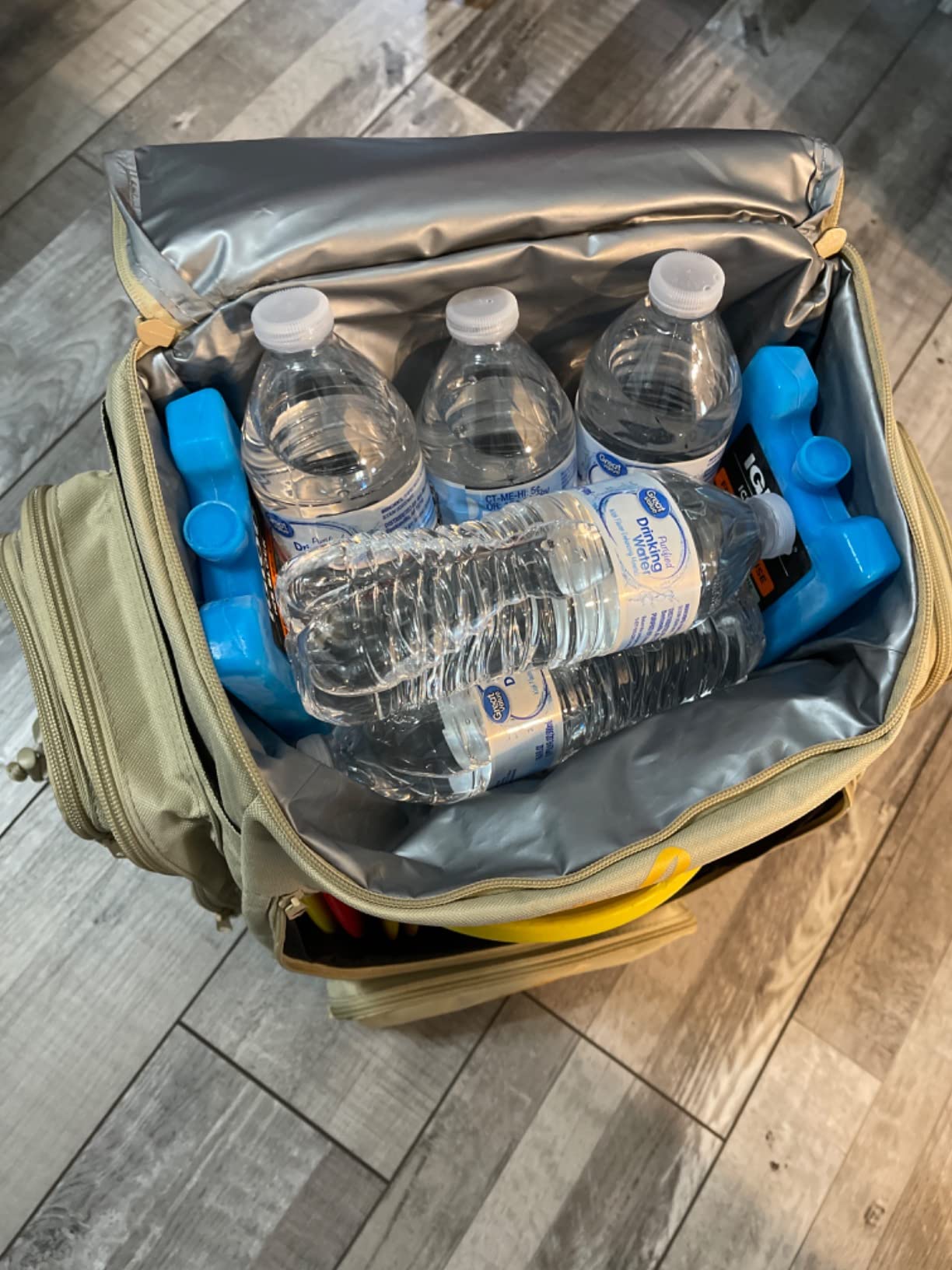 Disc Golf Backpack with Cooler - Small Disc Golf Equipment Bag customer photo 2