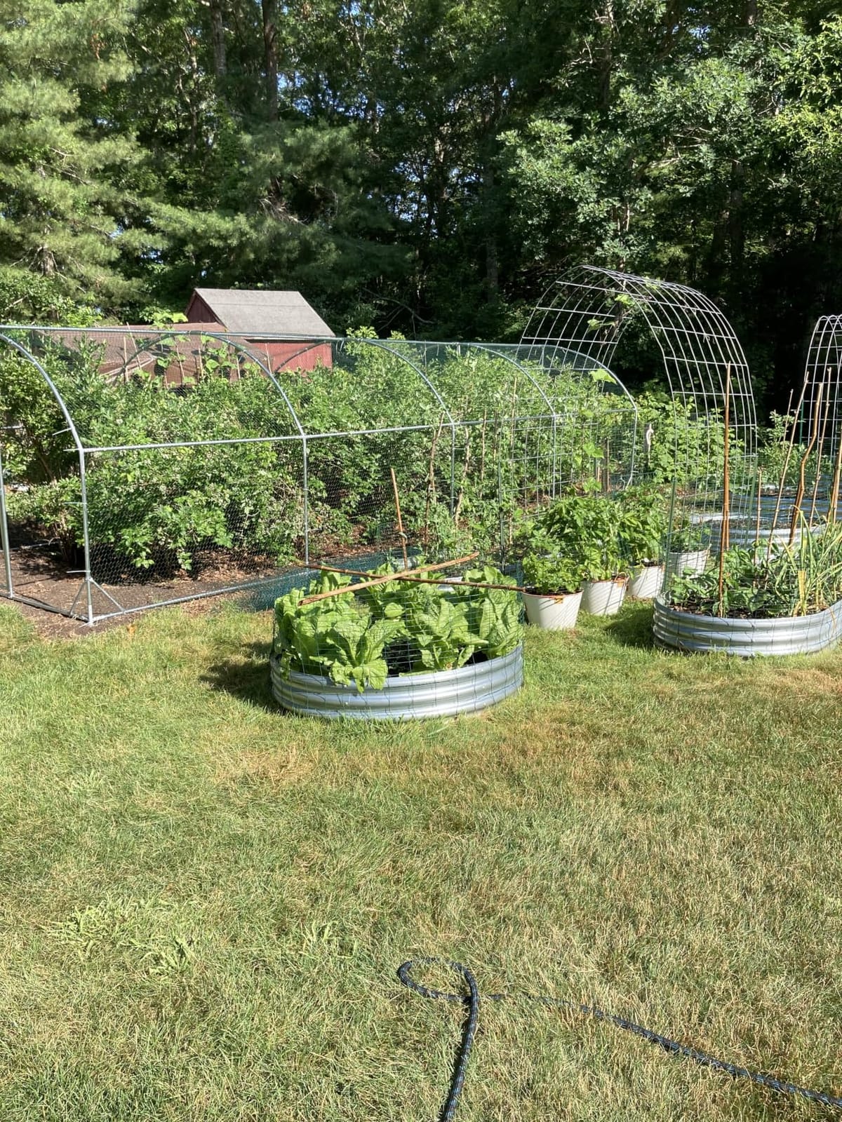 Large Metal Chicken Coop Round Top Upgrade Tri-Supporting Wire Mesh Chicken Run,Chicken Pen with Water-Resident and Anti-UV Cover,Duck Rabbit House Outdoor(19'L x 9'W x 6.5'H) customer photo 2