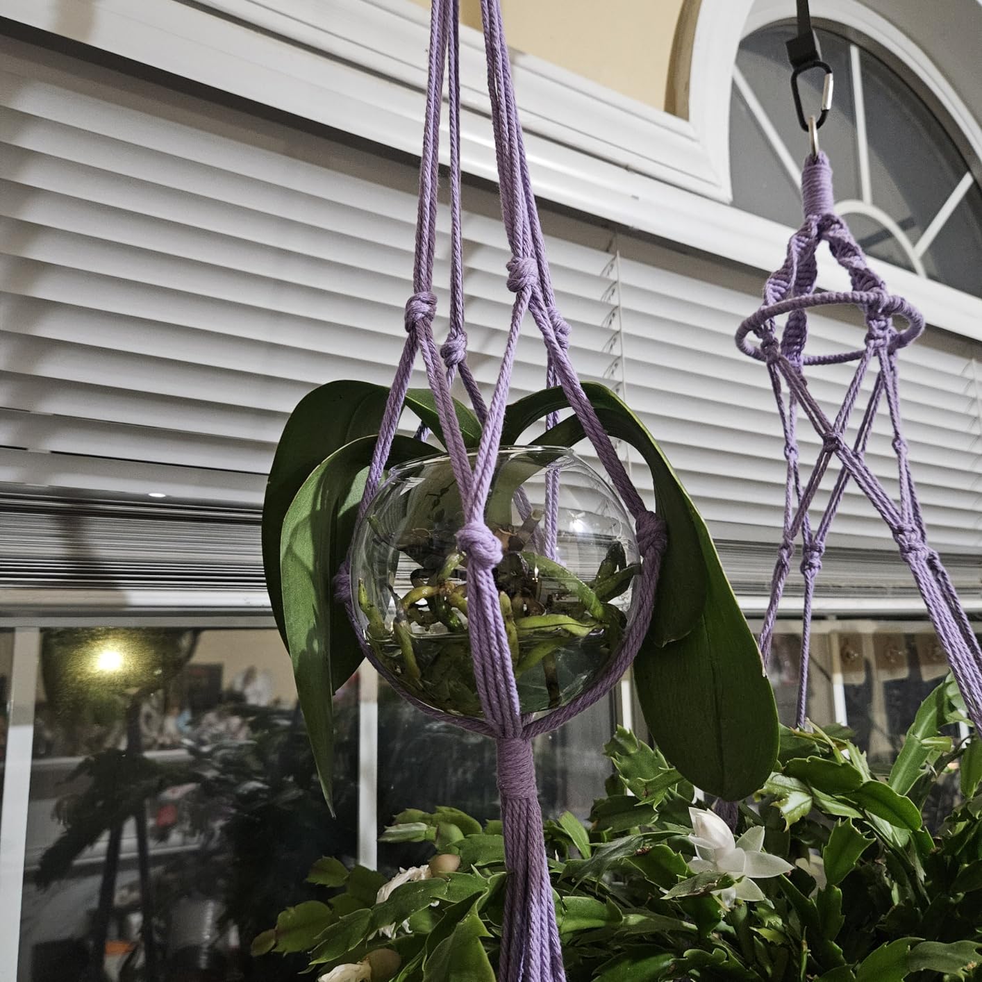 SFENNGPET Macrame Plant Hangers, 6Pack Hanging Planters for Indoor Plants w/ 6 Set Hangers Kit Handmade Macromay Plant Hangers Indoor Flower Pots Holder Stand for Boho Home Decor (POTS NOT Included) customer photo 1