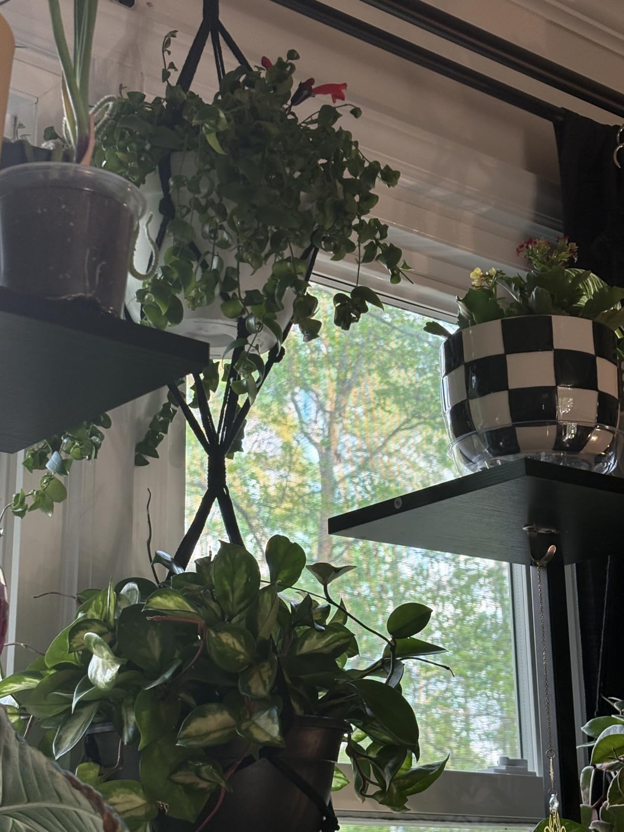 SFENNGPET Macrame Plant Hangers, 6Pack Hanging Planters for Indoor Plants w/ 6 Set Hangers Kit Handmade Macromay Plant Hangers Indoor Flower Pots Holder Stand for Boho Home Decor (POTS NOT Included) customer photo 2