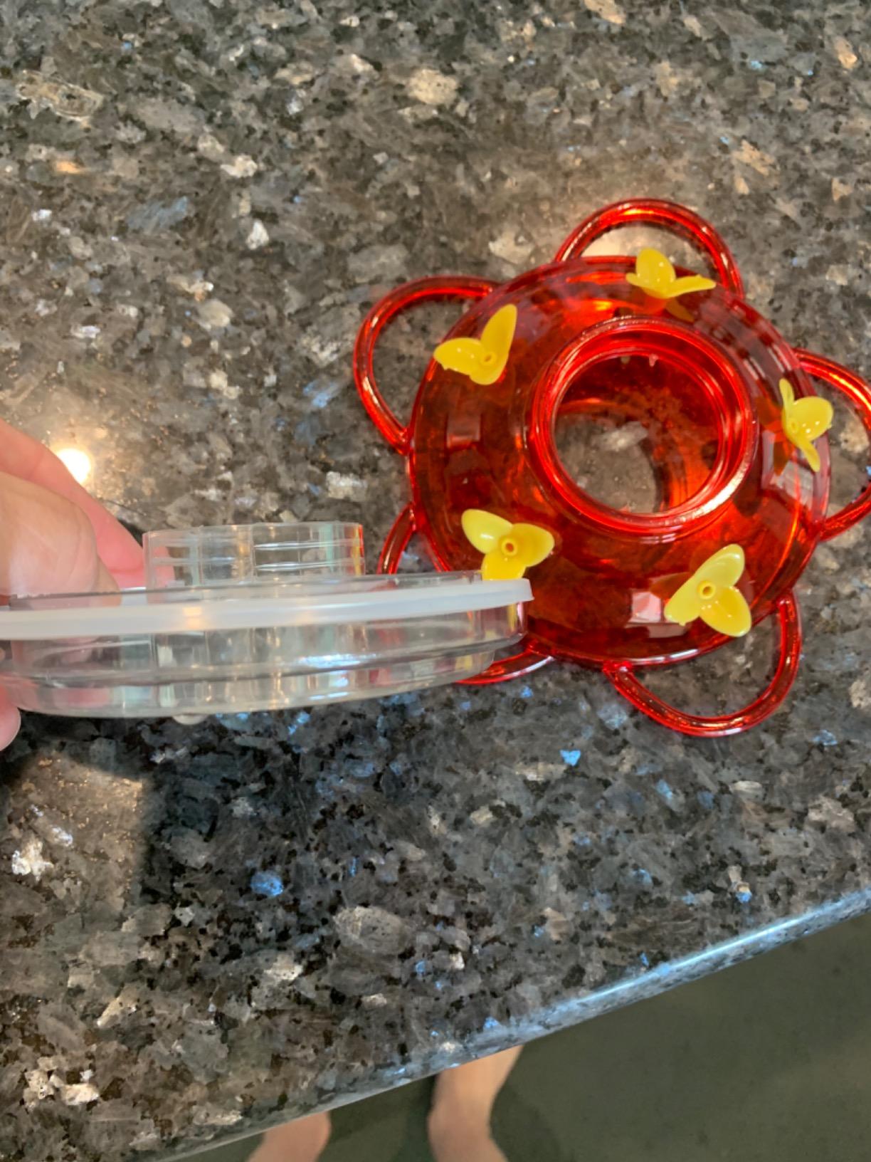 MEKKAPRO Glass Hummingbird Feeder 2-Pack 10oz Top Fill 5 Feeding Ports | Designed As A Top Fill Hummingbird Feeder, This Hanging Backyard Feeder Set Offers 5 Nectar Feeding Stations For Outdoor Use customer photo 1