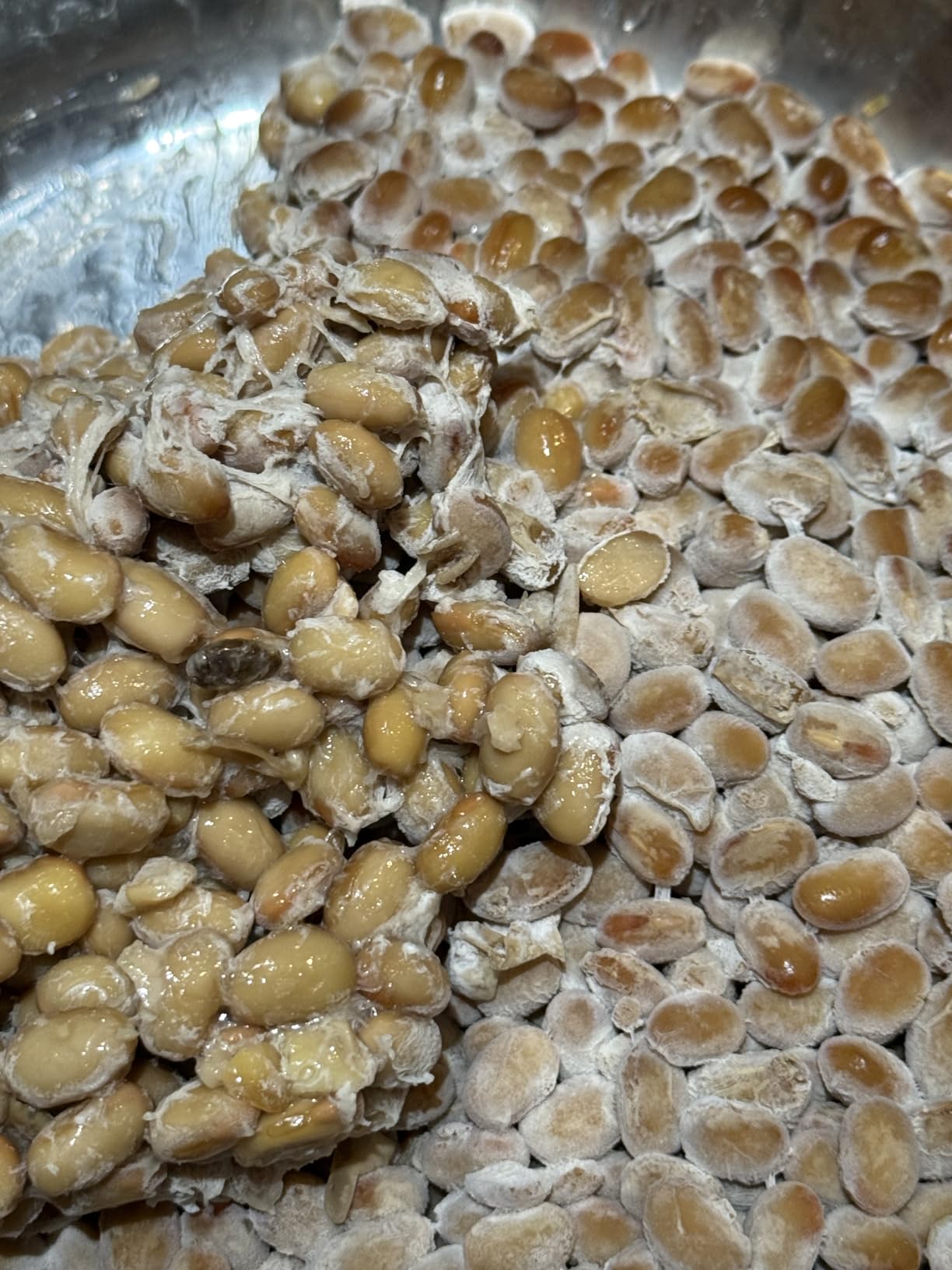 Cultures For Health Natto Starter Spores | Traditional Soybean Japanese Food | Great Source of Protein, Vitamin K, Probiotics for Digestive Health | Gluten Free Vegan Plant Based Meat Alternative customer photo 1