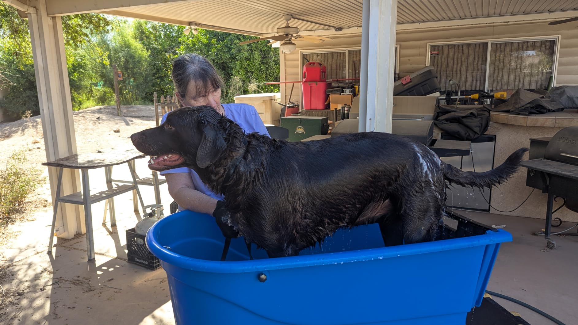 45