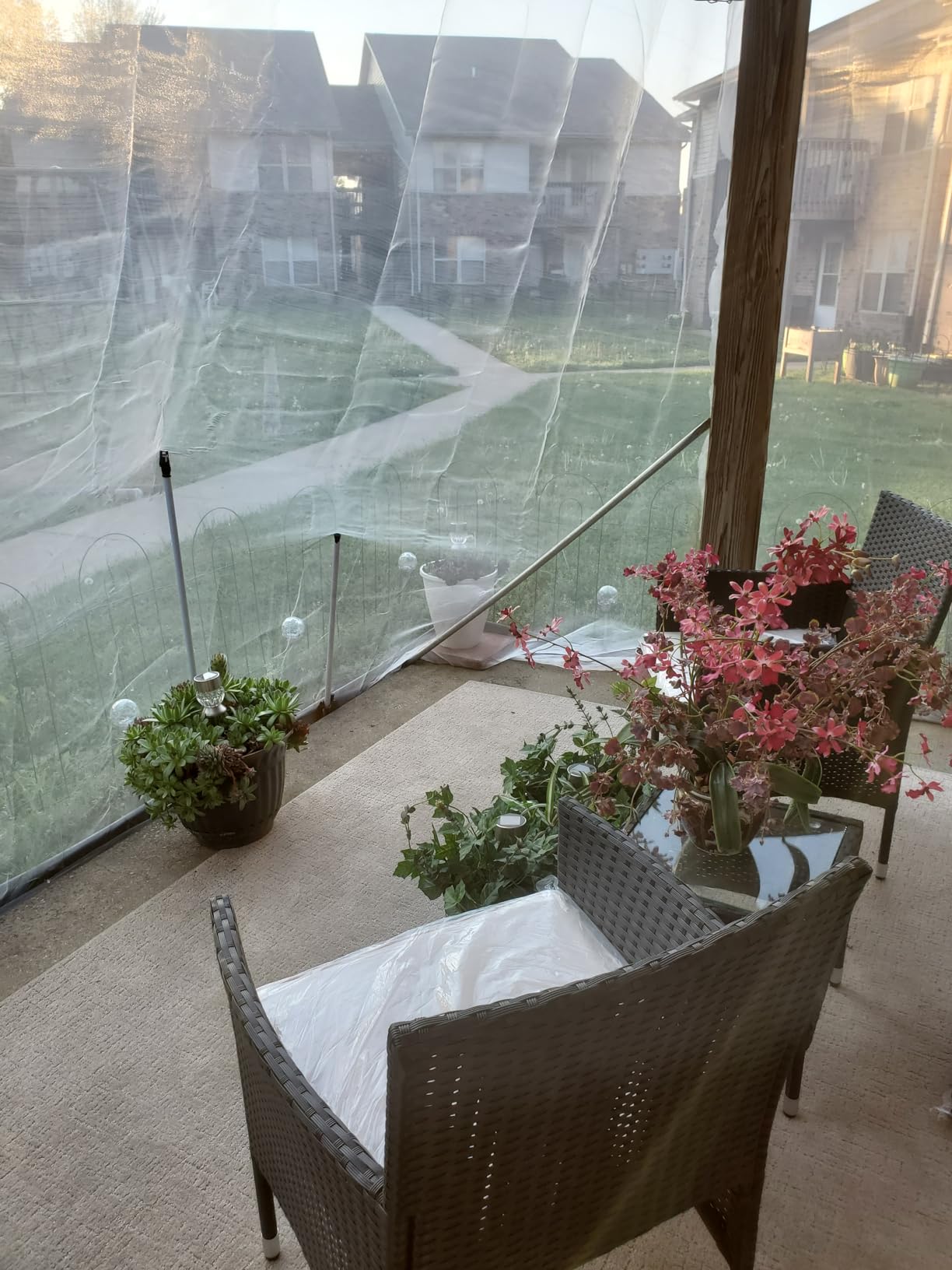 Garden Insect Netting Pest Barrier: 10'x25' Bug Netting for Garden Protection Mosquito Net Fine Mesh Cicada Tree Net Greenhouse Row Cover for Crops Plants Vegetables Flowers Fruits Silver customer photo 1