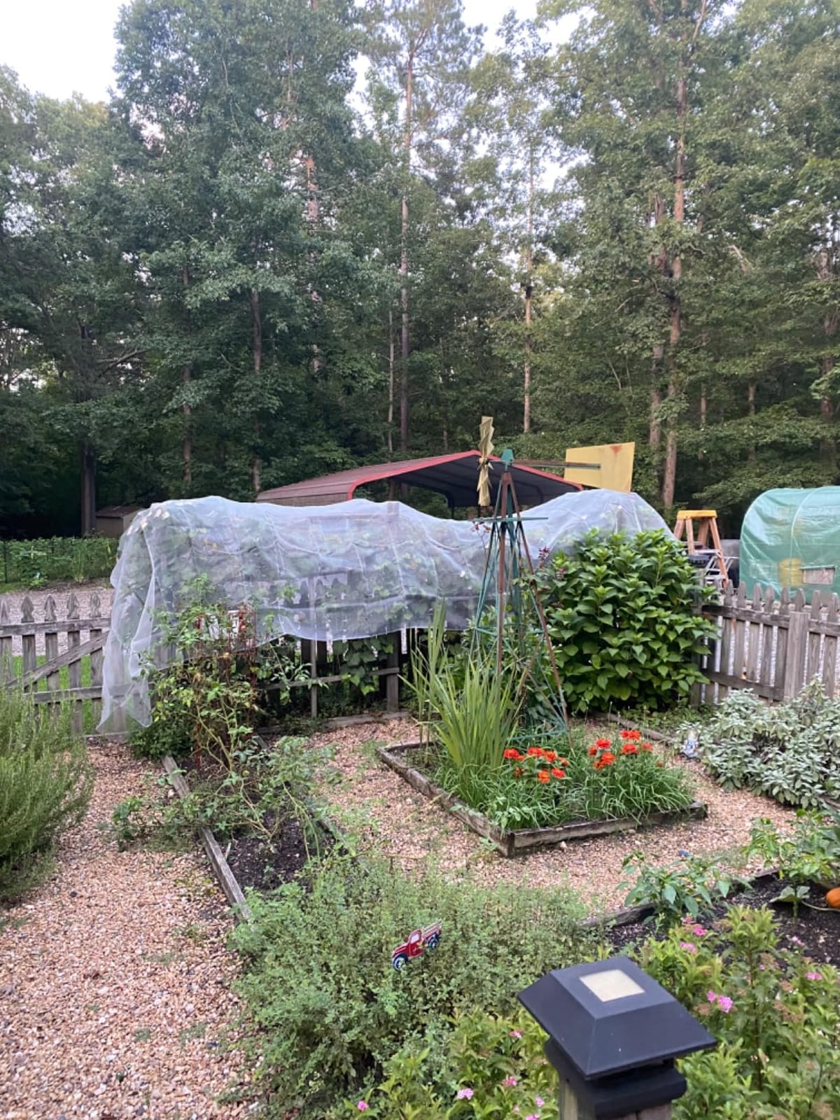 Garden Insect Netting Pest Barrier: 10'x25' Bug Netting for Garden Protection Mosquito Net Fine Mesh Cicada Tree Net Greenhouse Row Cover for Crops Plants Vegetables Flowers Fruits Silver customer photo 2