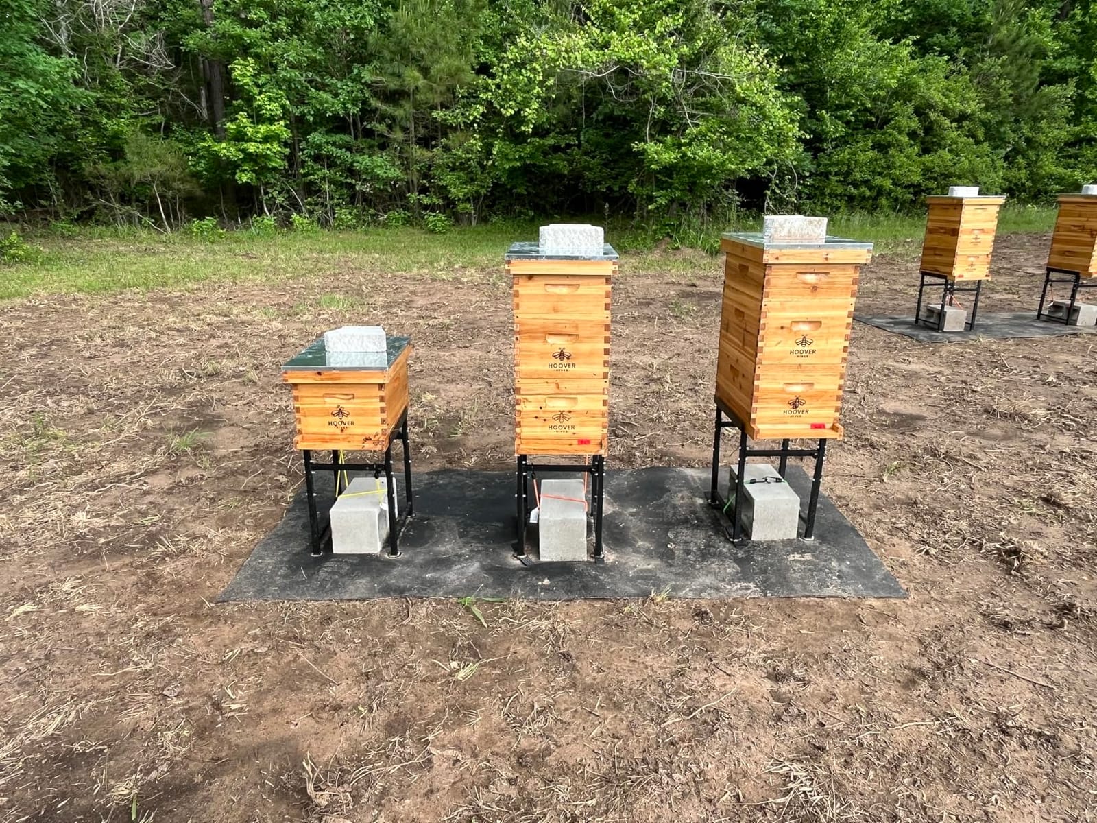 Adjustable Metal Hive Stand, Sturdy Beehive Stand - Adjustable Height 15 to 19 inch & Adjustable Width 14.5 to 24.5 inch, UV Resistant & Easy to Assemble Bee Stand for Beekeeping customer photo 1