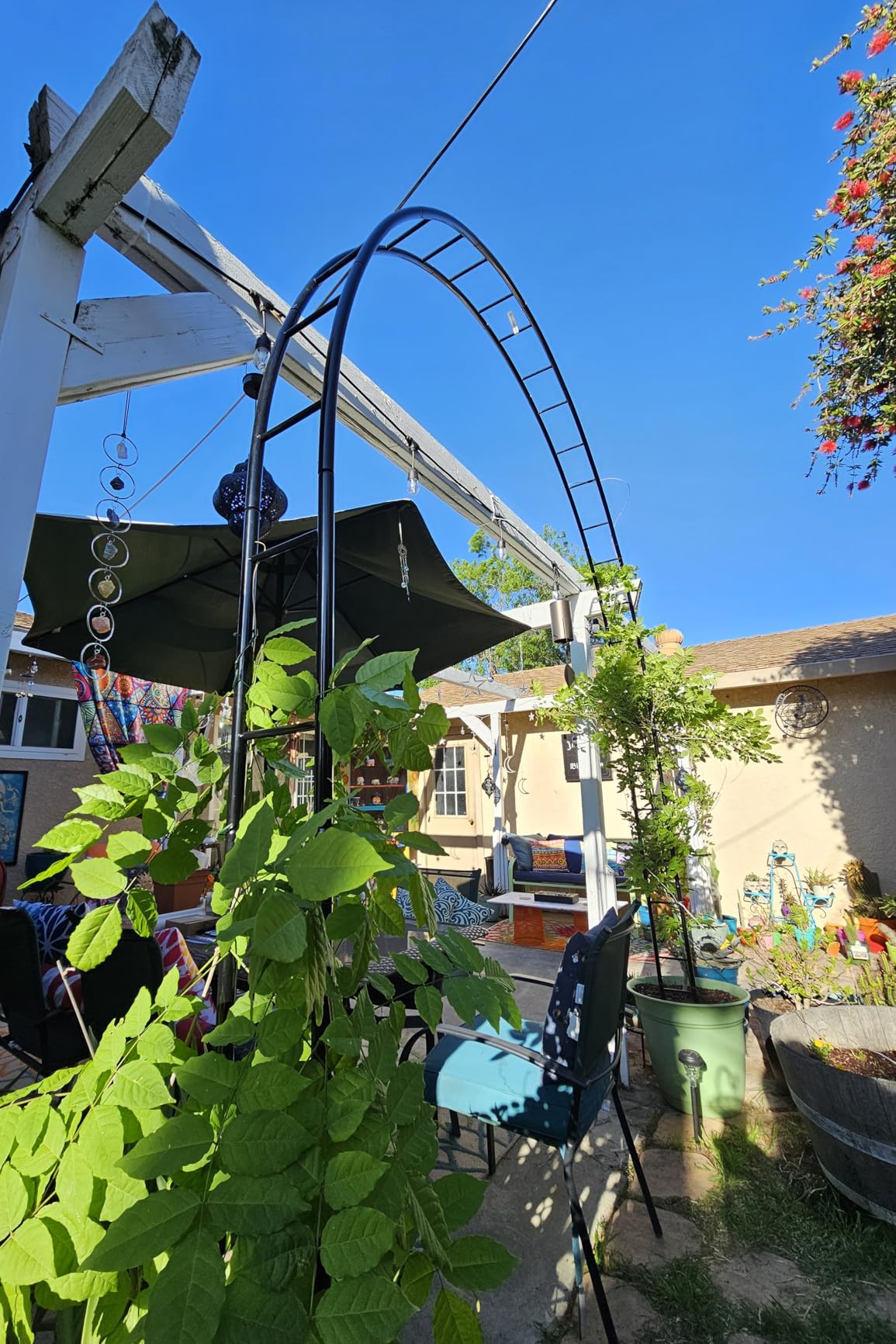 Queension Extra Large Garden Arch 7.2Ft Wide 9.2Ft High, Black | Wedding Arch for Ceremony, Outdoor Garden Trellis for Climbing Plant, Metal Balloon Arches Backdrop Stand with Prongs Base customer photo 2
