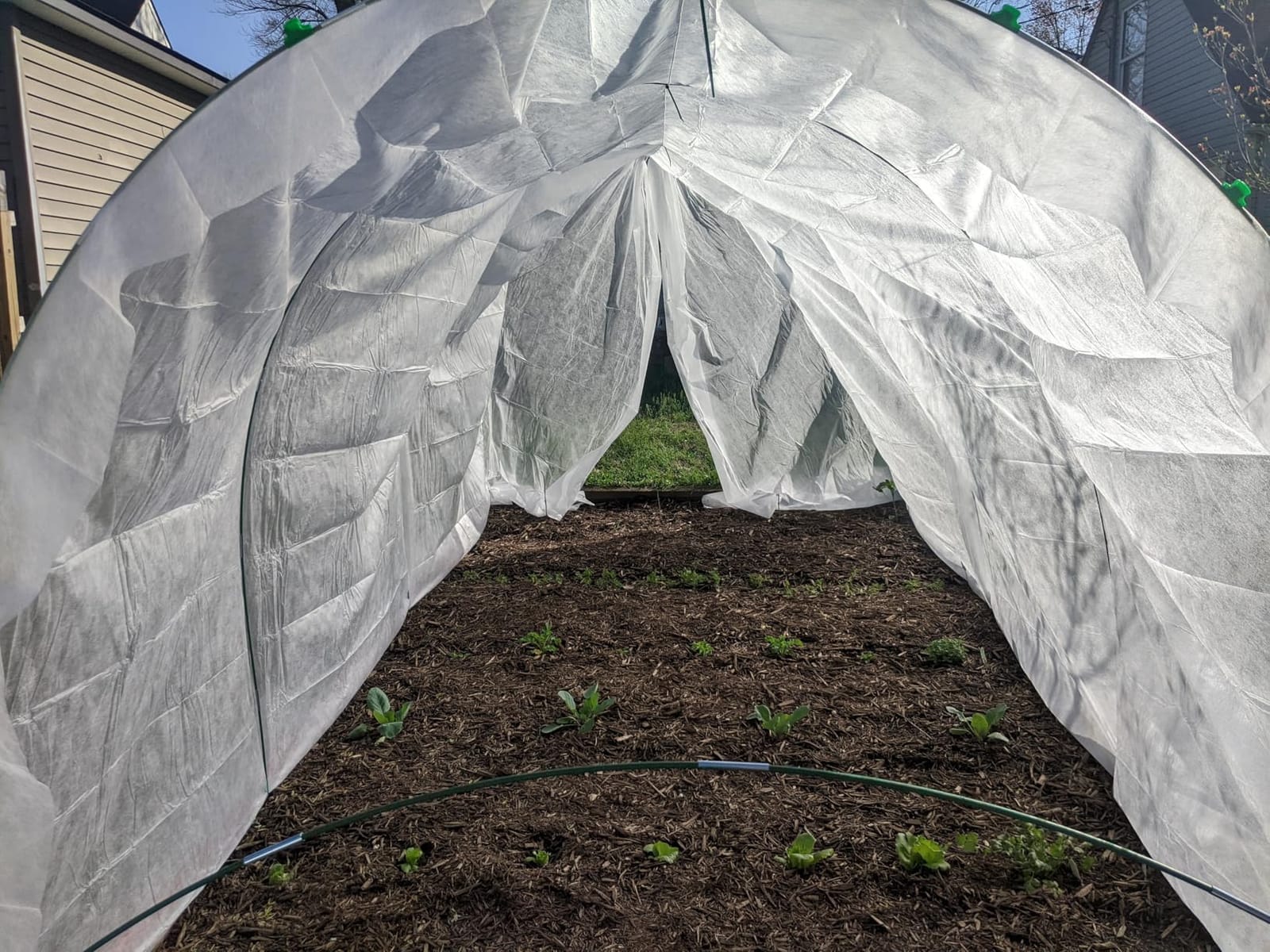 60Pcs Greenhouse Hoops Grow Tunnel Wide, 8FT Rust-Free Fiberglass Support Garden Hoops Kit for Raised Beds Plant Cloth Row Cover Netting-DIY Plant Support Garden Hoop for Netting-40Pcs Clips customer photo 1