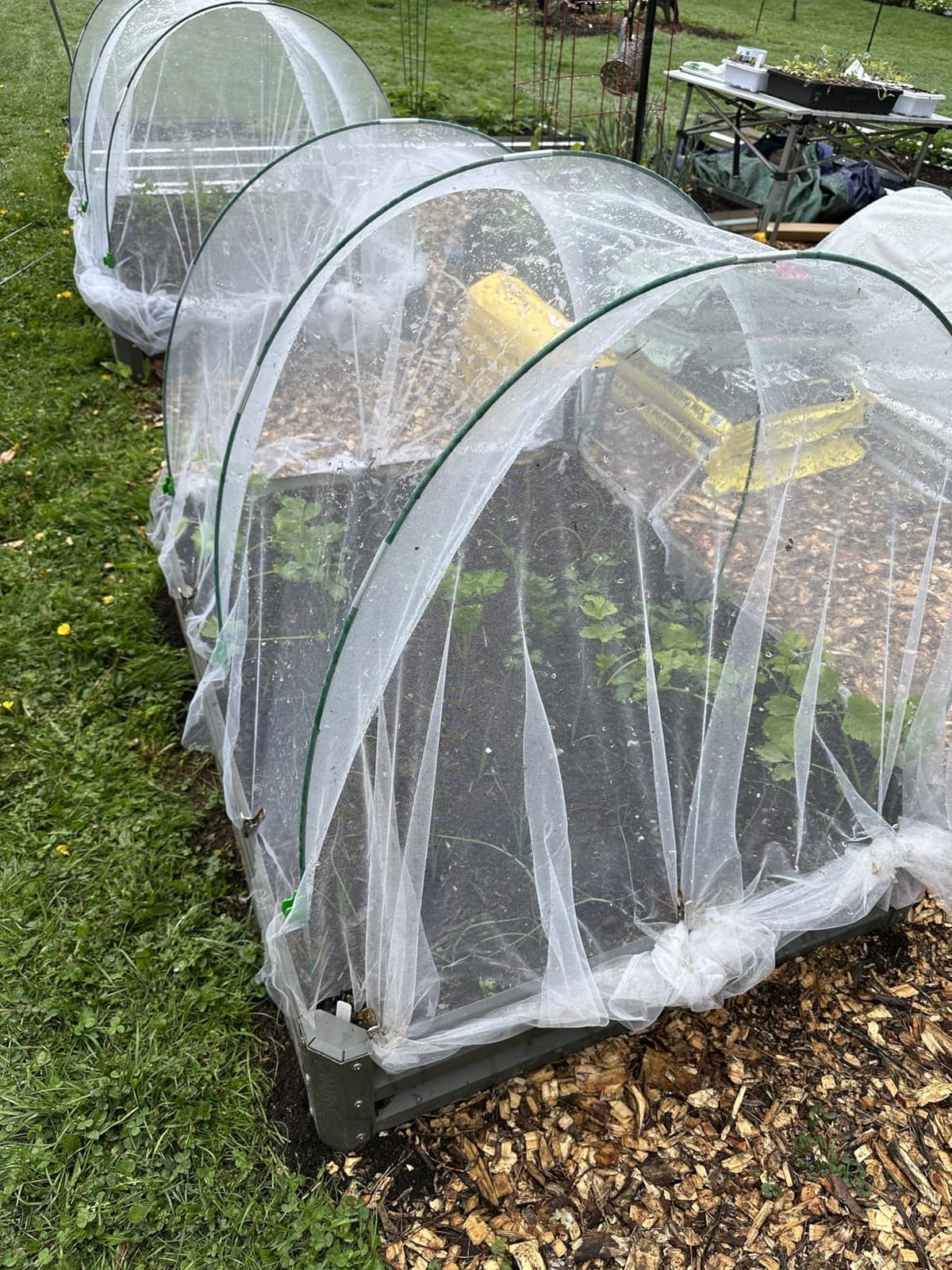 Greenhouse Hoops Grow Tunnel 6 Sets of 8FT Long Garden Hoops, Rust-Free Fiberglass Garden Hoops Frame for Garden Netting Raised Bed Plant Shade Cloth Row Cover, DIY Plant Support Garden Stakes- 36pcs customer photo 1