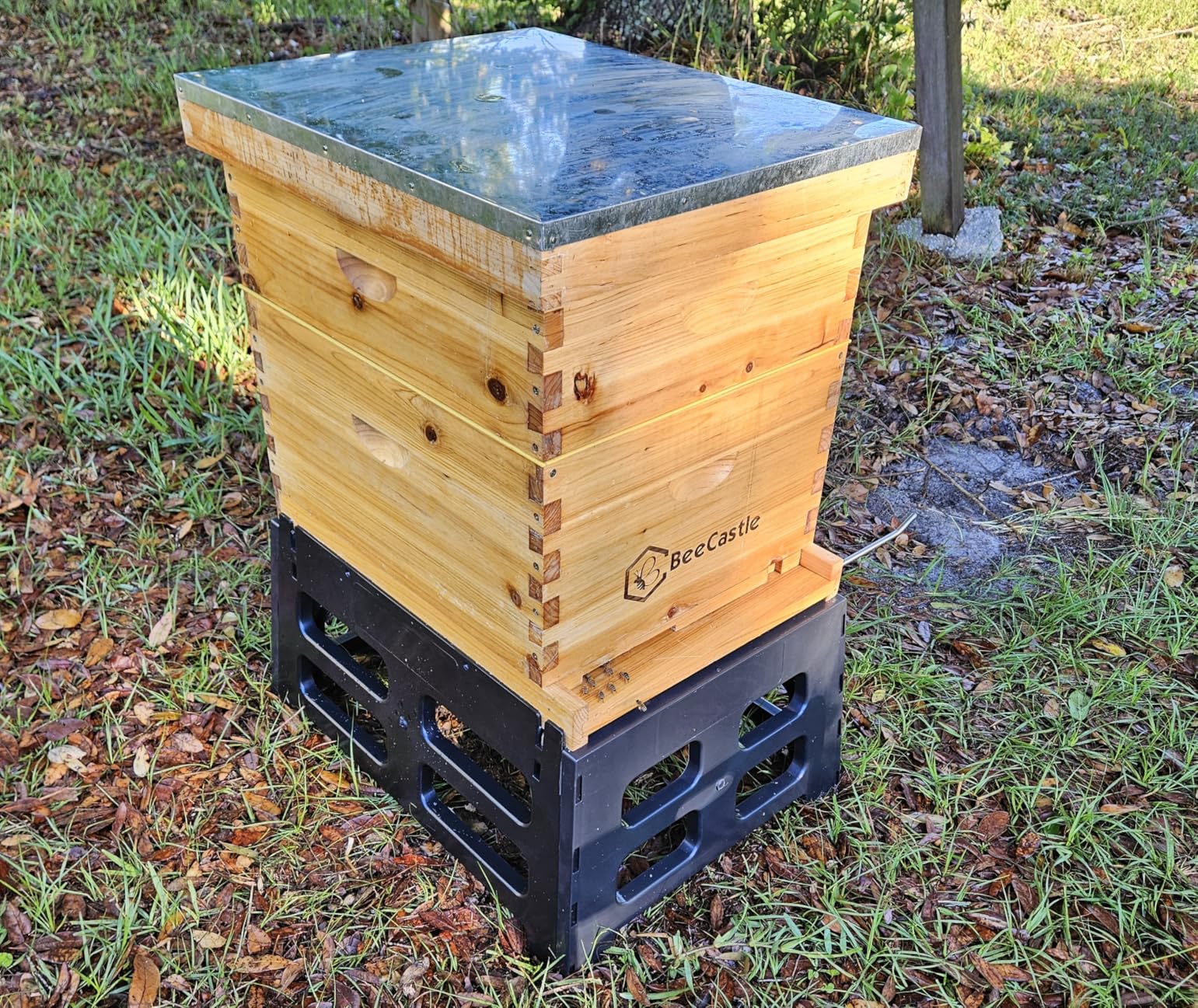Durable Plastic and Metal 10-Frame Beehive Stand: Elevate & Protect Your Hive customer photo 1